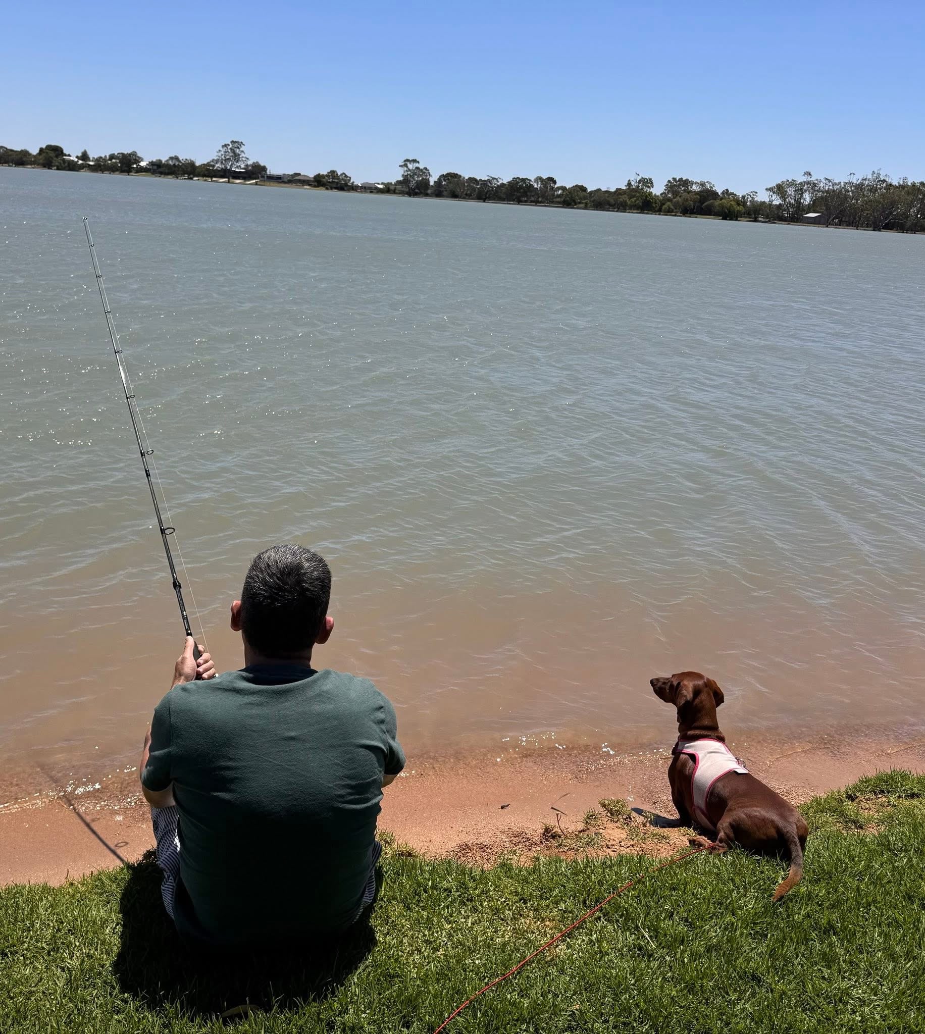 Nicolet National Forest