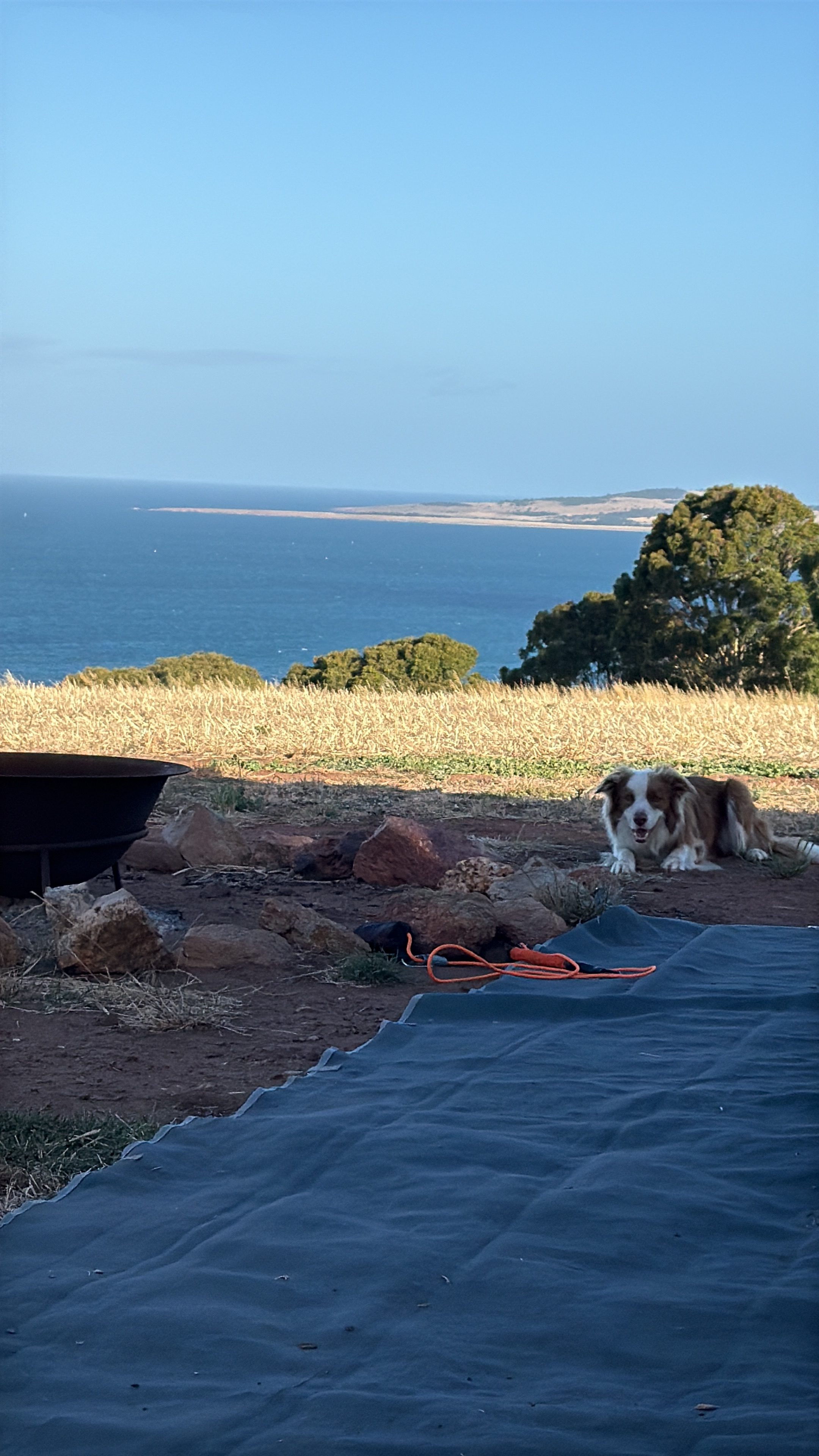 Tiatukia Farm Campsite by the Sea