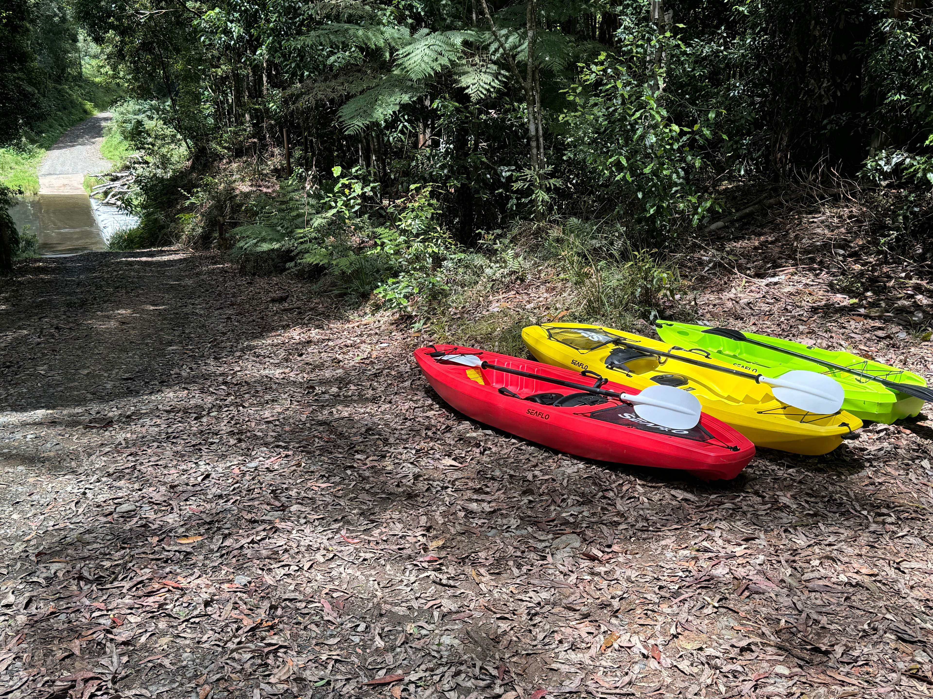 Frog Hollow Rainforest Camping