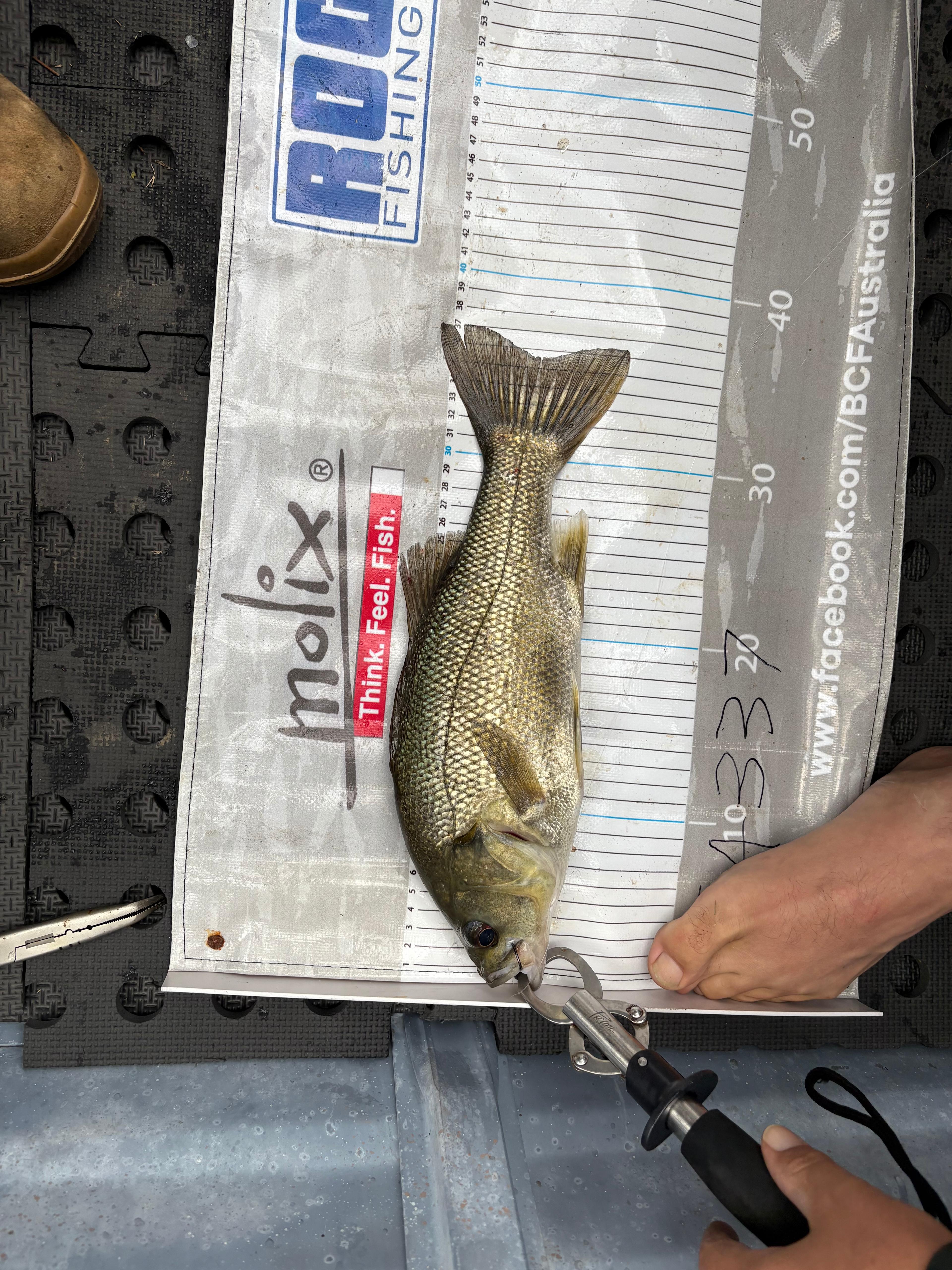 River Run Farm Camping