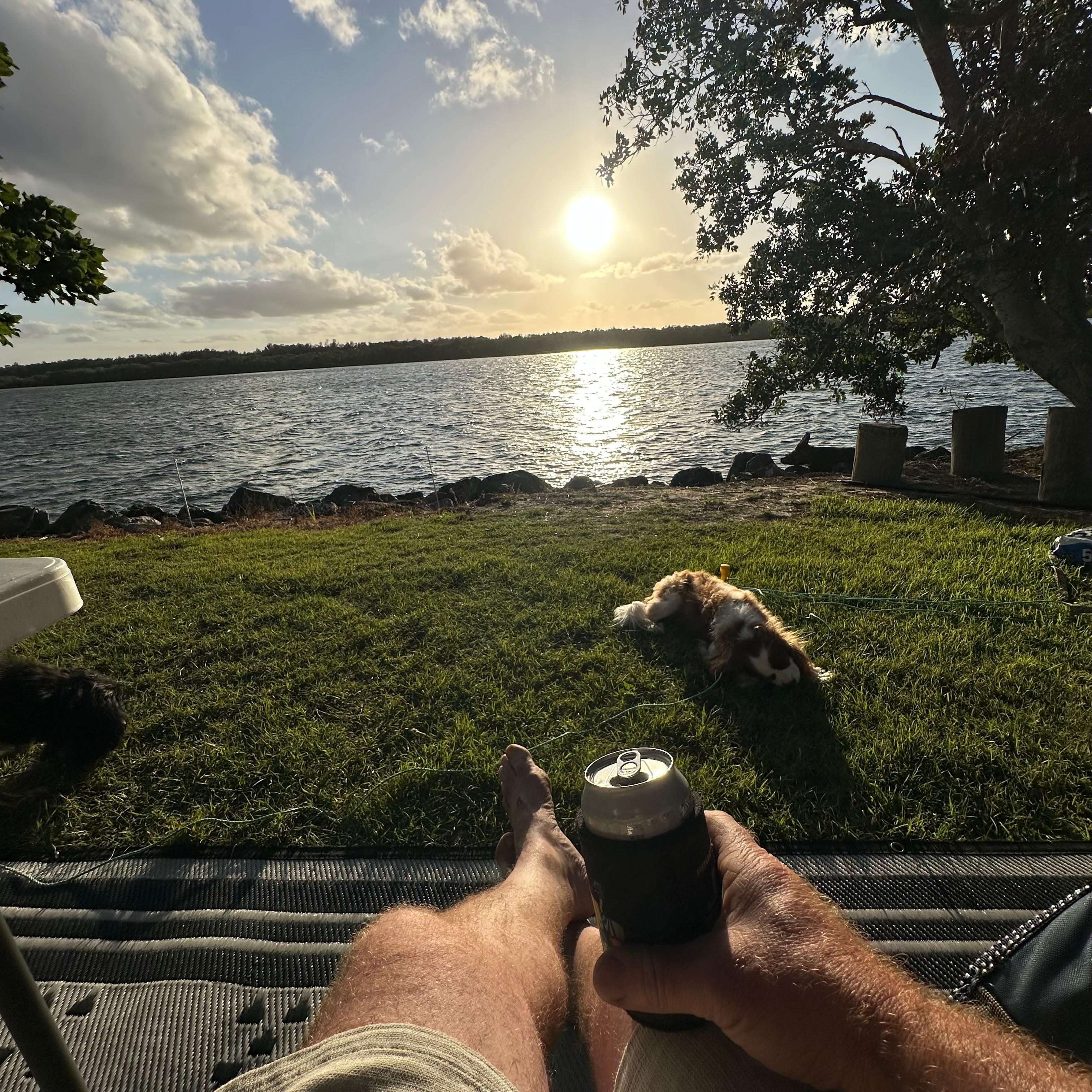 Dog friendly. We had our 3 cavaliers who enjoyed it immensely 