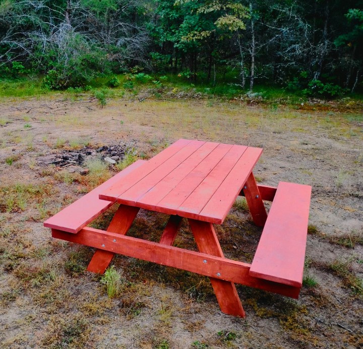 Secluded Woodsy Camp by the River