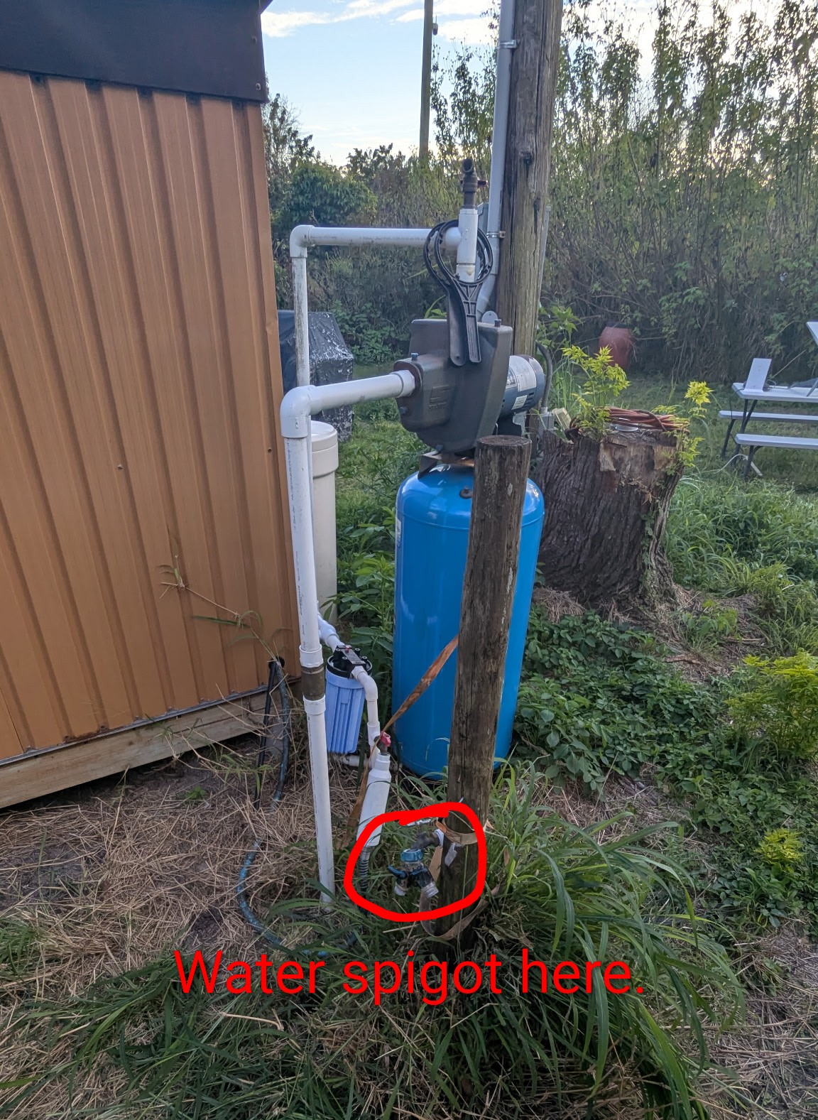 Citrus Sunrise Family Farm