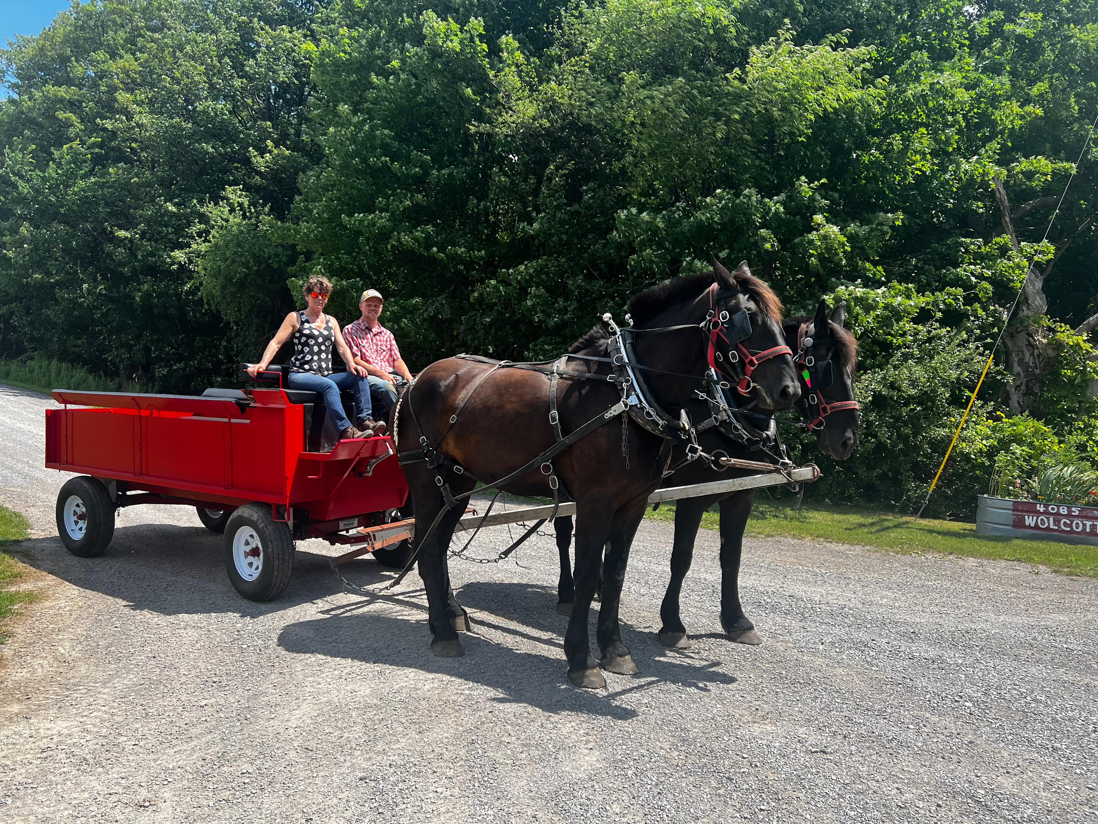 Wolcott Farms 4 Seasons Of Fun