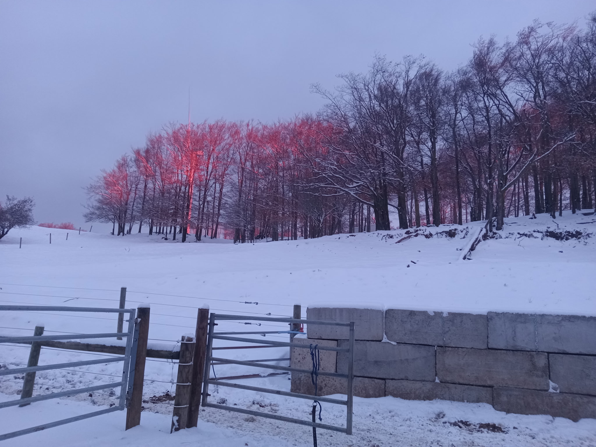 Wolcott Farms 4 Seasons Of Fun