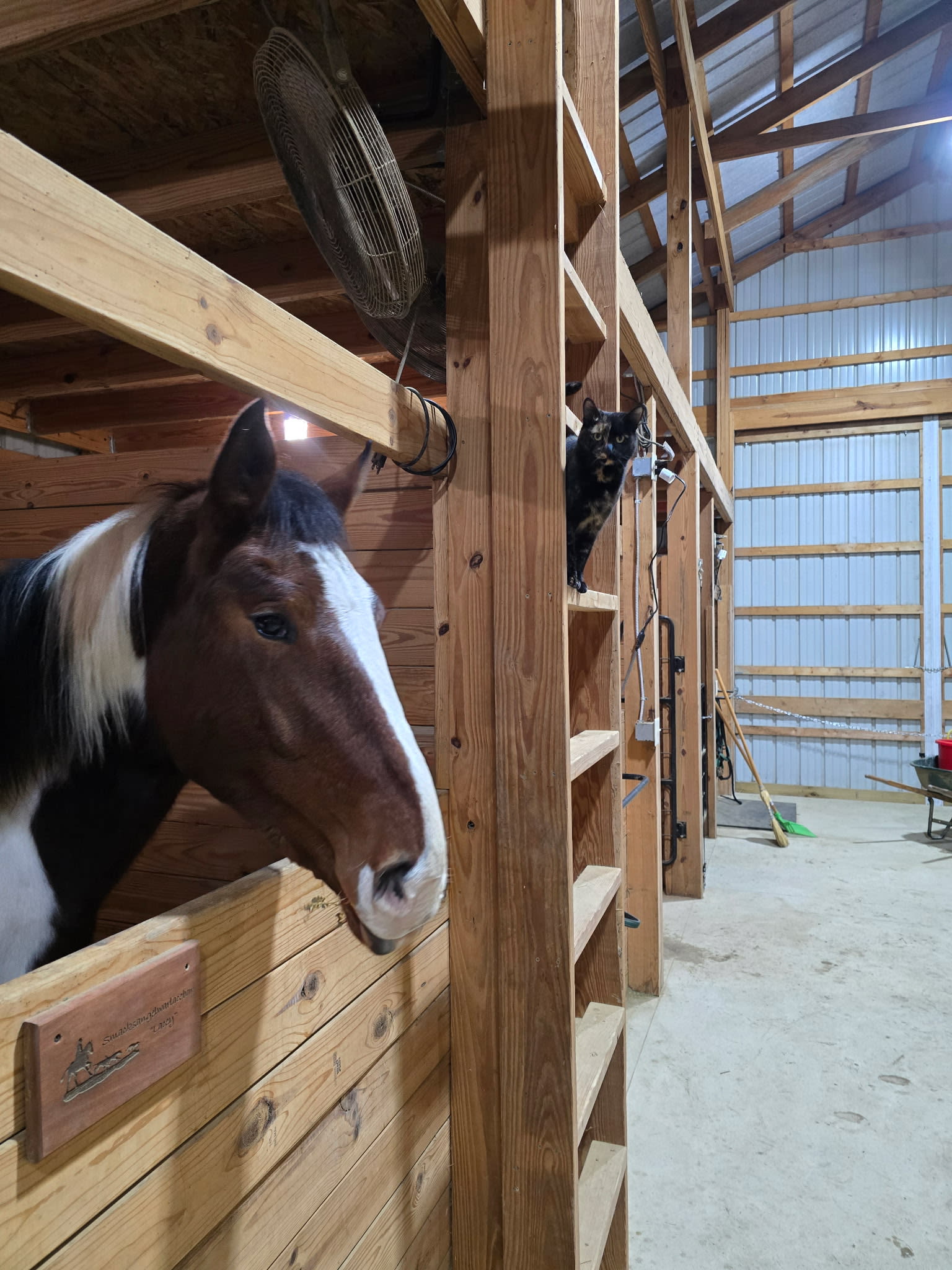 Wolcott Farms 4 Seasons of Fun