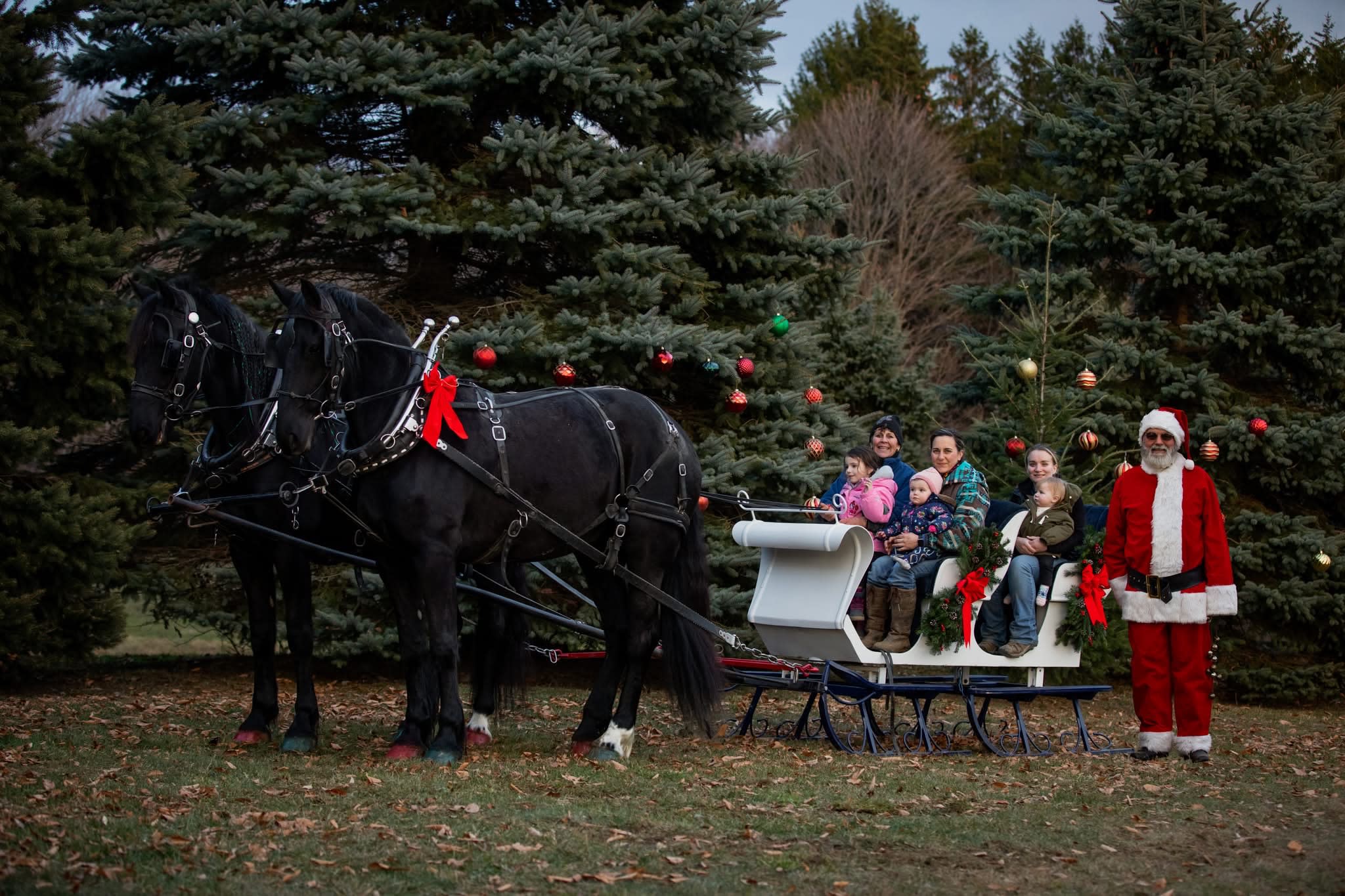 Wolcott Farms 4 Seasons Of Fun