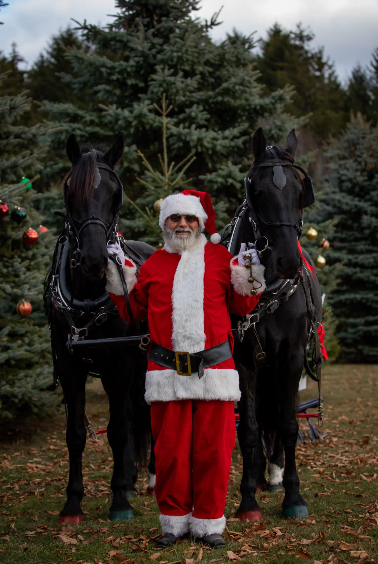 Wolcott Farms 4 Seasons of Fun