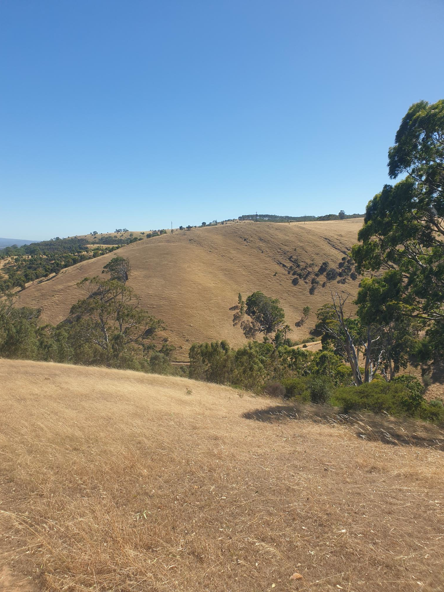 Upper Campsite, ideal for trailers and caravans to be able to level.