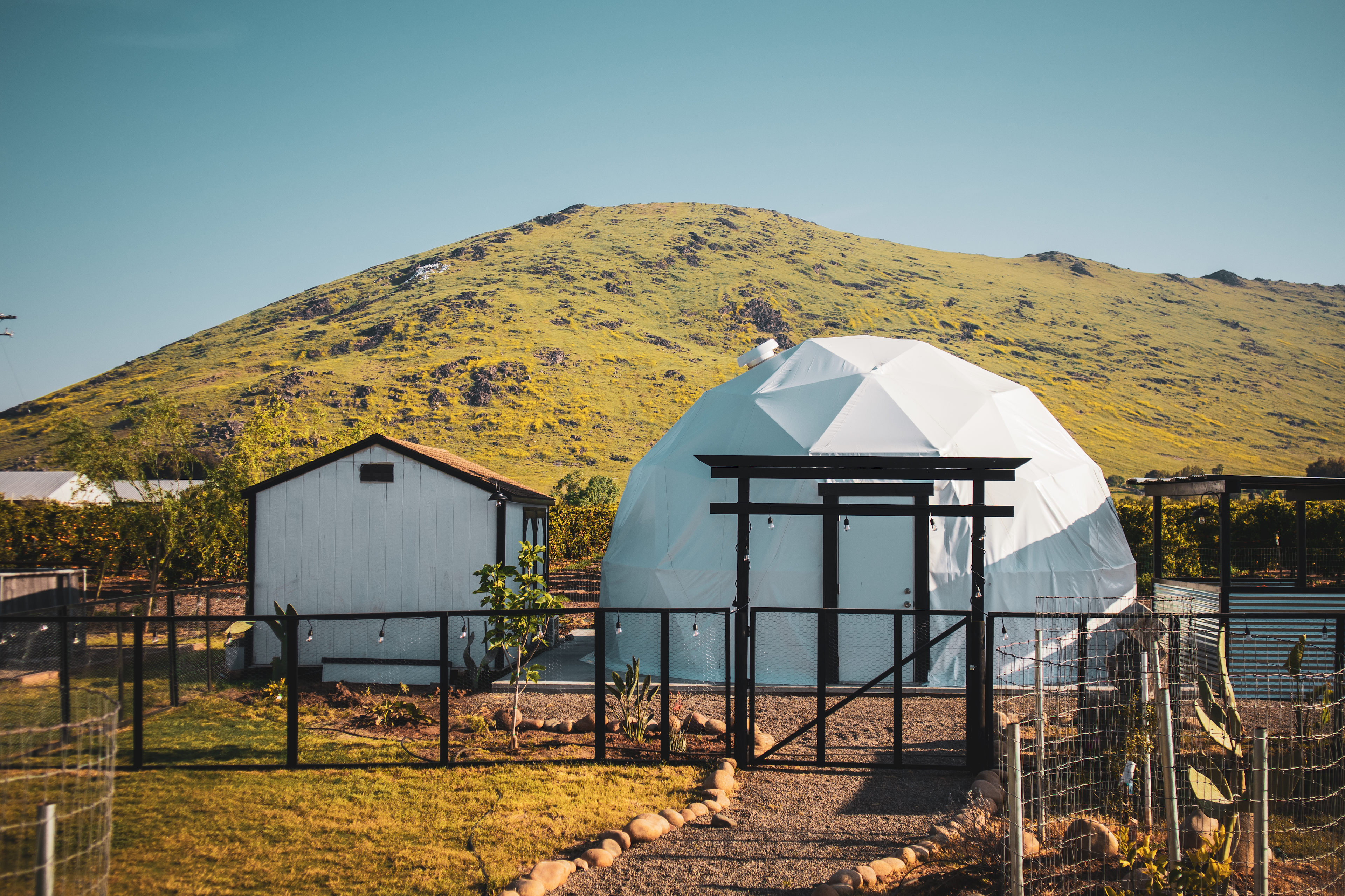 Cozy Wabi-Sabi GeoDome Farmstay