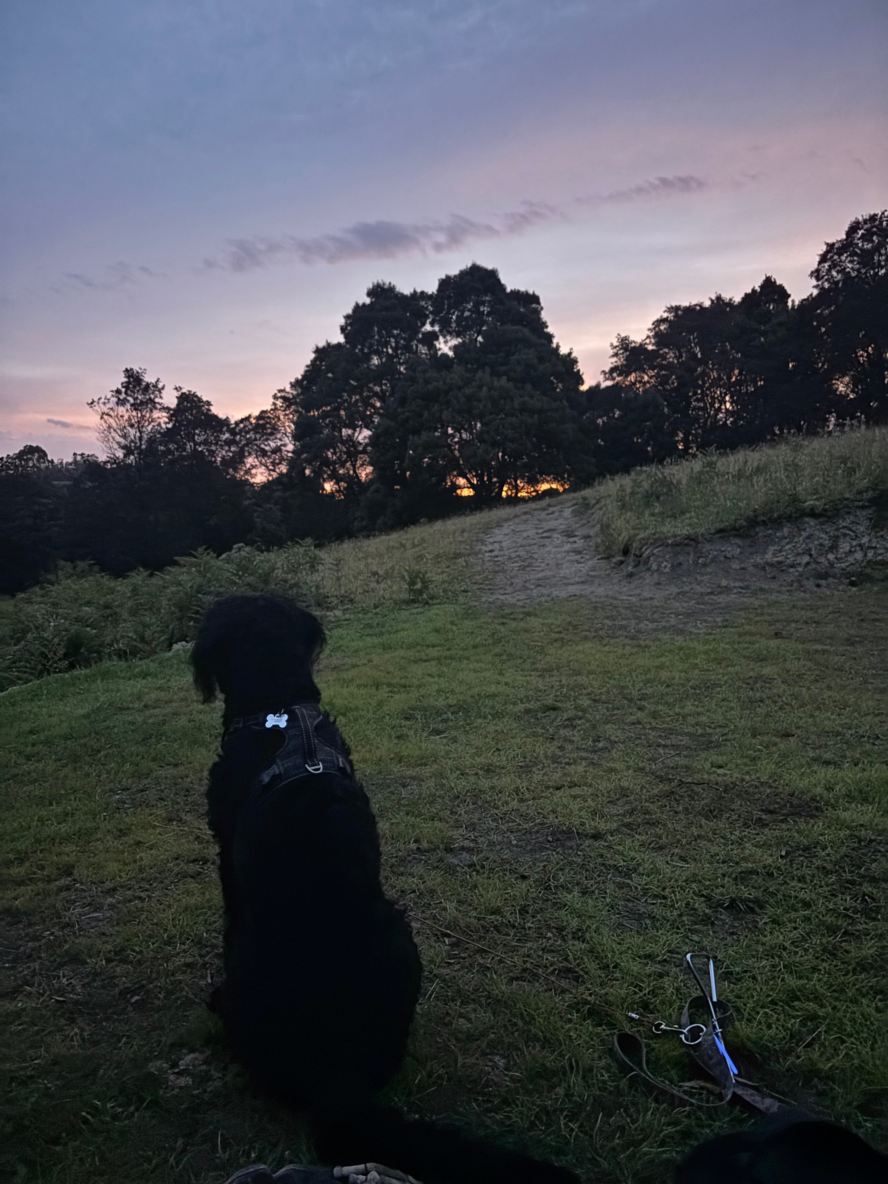 Mountain Life Retreat