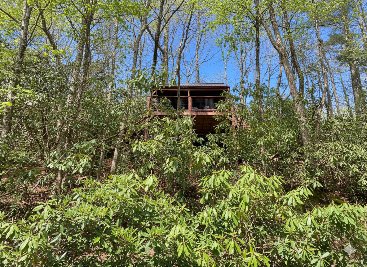 Treehouse #2 as seen from the gravel drive below