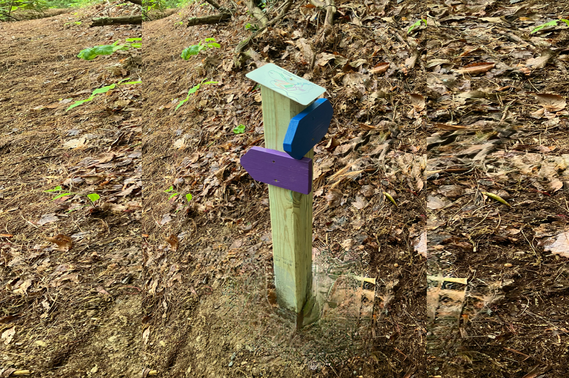 A sign post displays to trails on the east side of Smoky Mountain Sky Camp, featuring Blue Trail and Purple Loop.