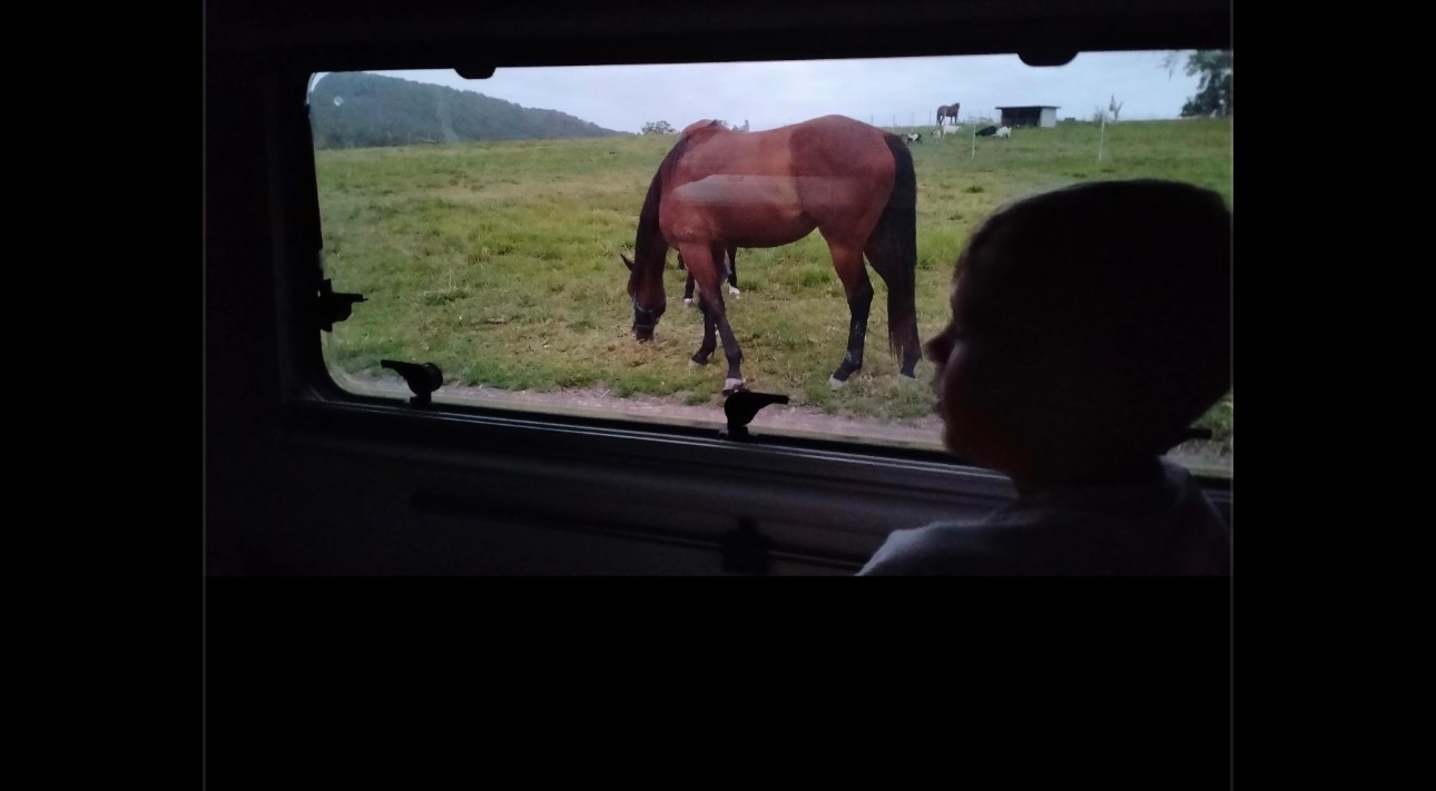 Luckystars Sanctuary