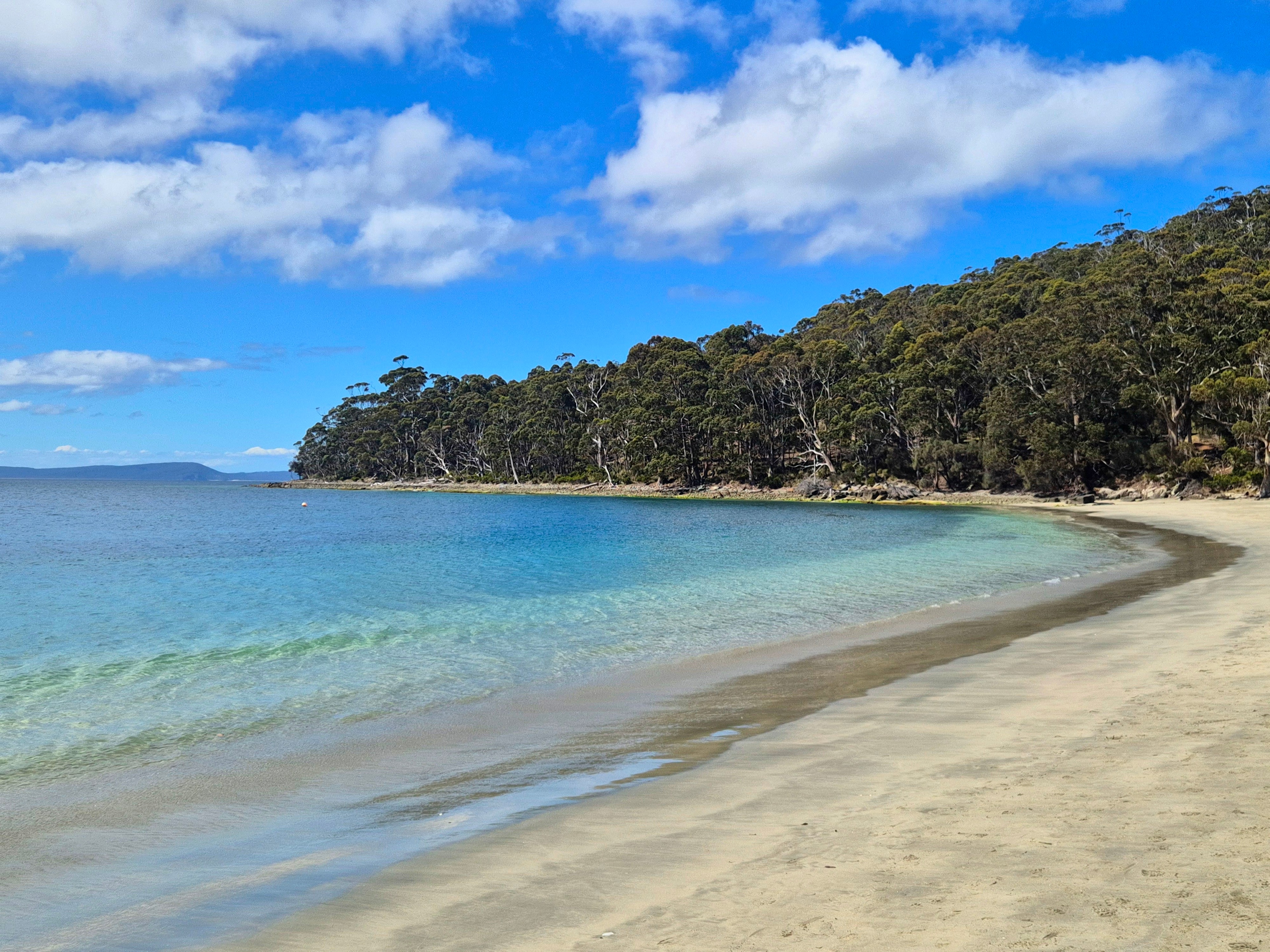 Woodleigh - where beach meets bush