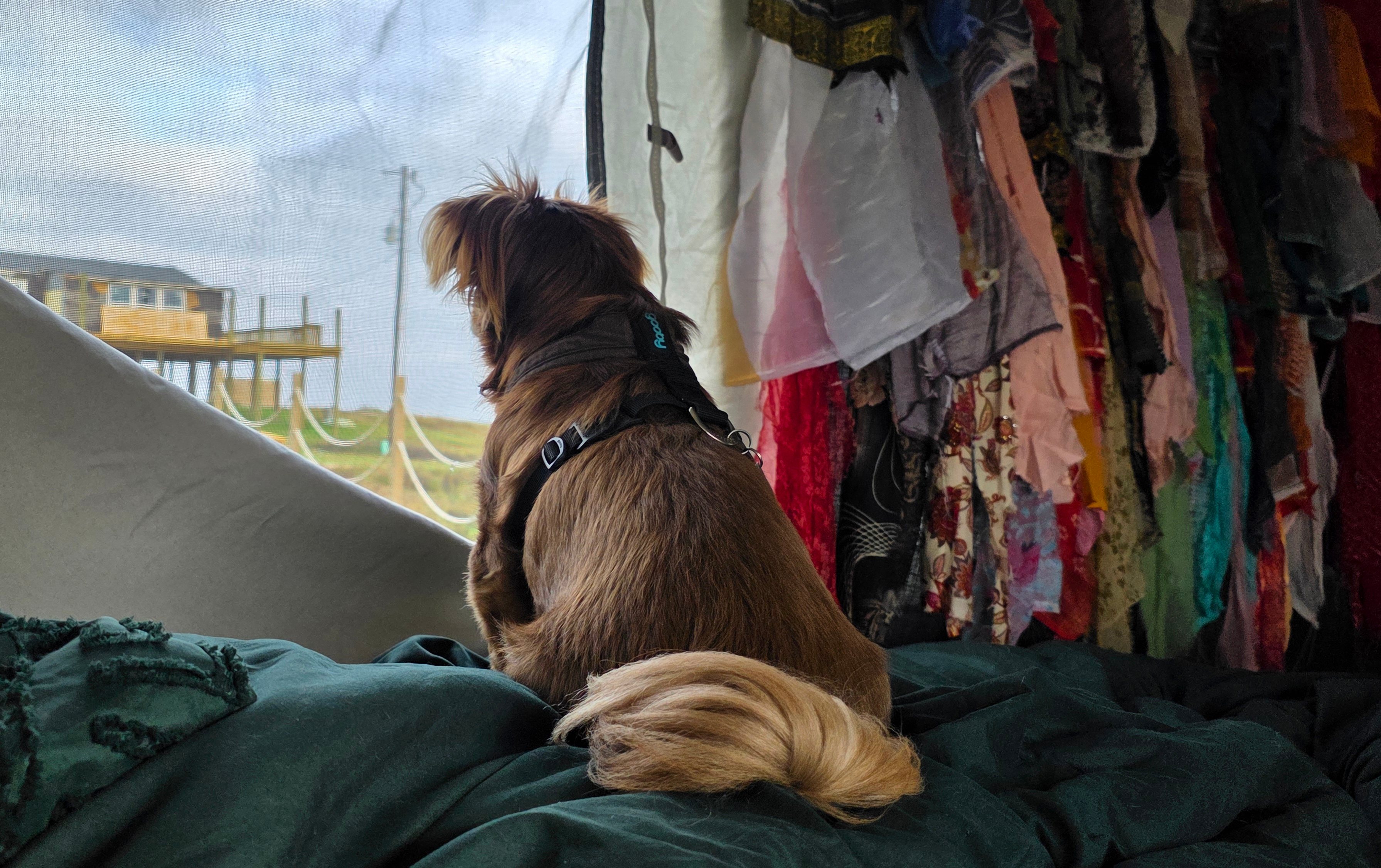 Window is the back property view