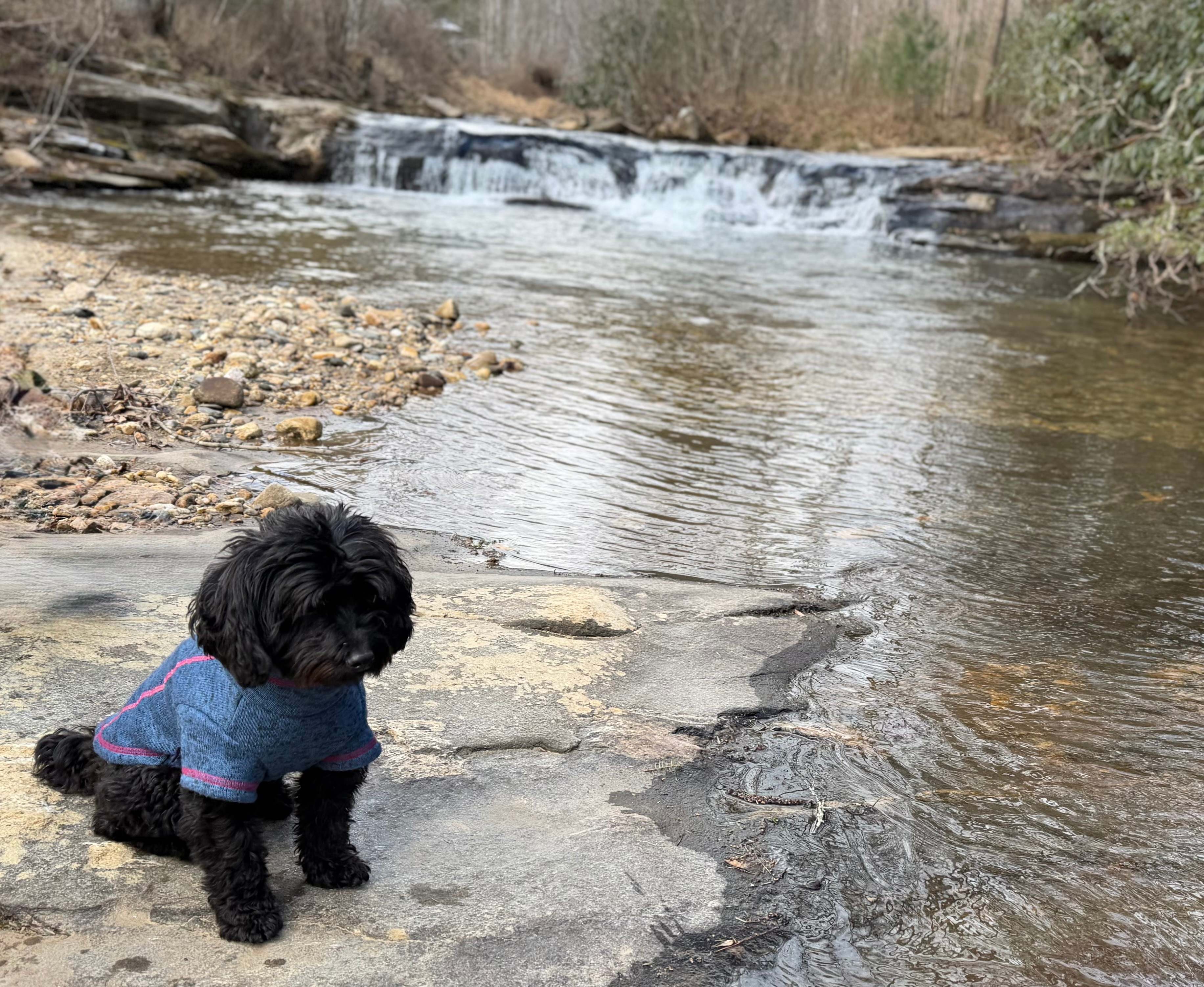 Glamping At Fall Creek Retreats
