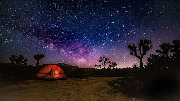 Llano Dessert Heaven 🌵