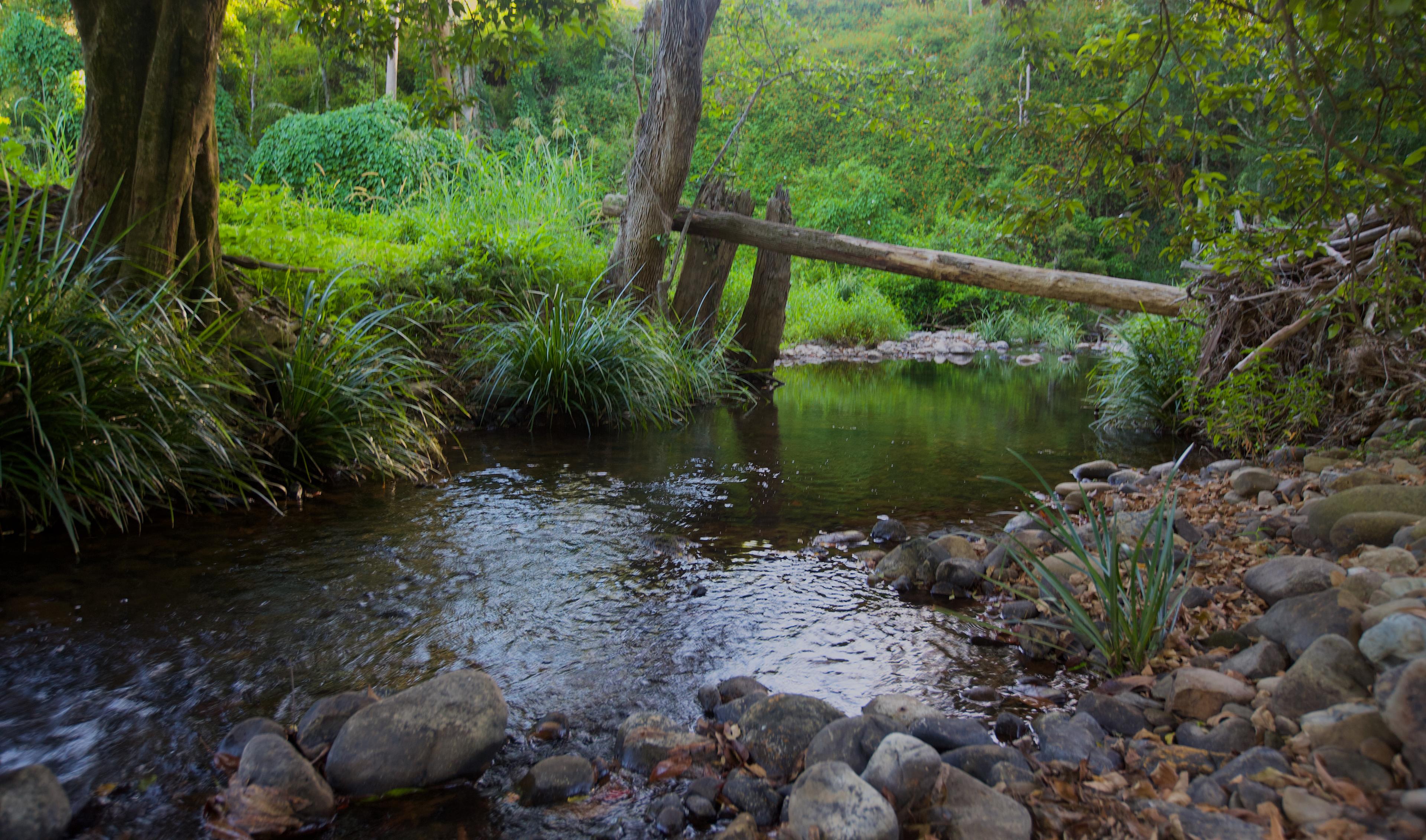 Wongawallan Creek Estate
