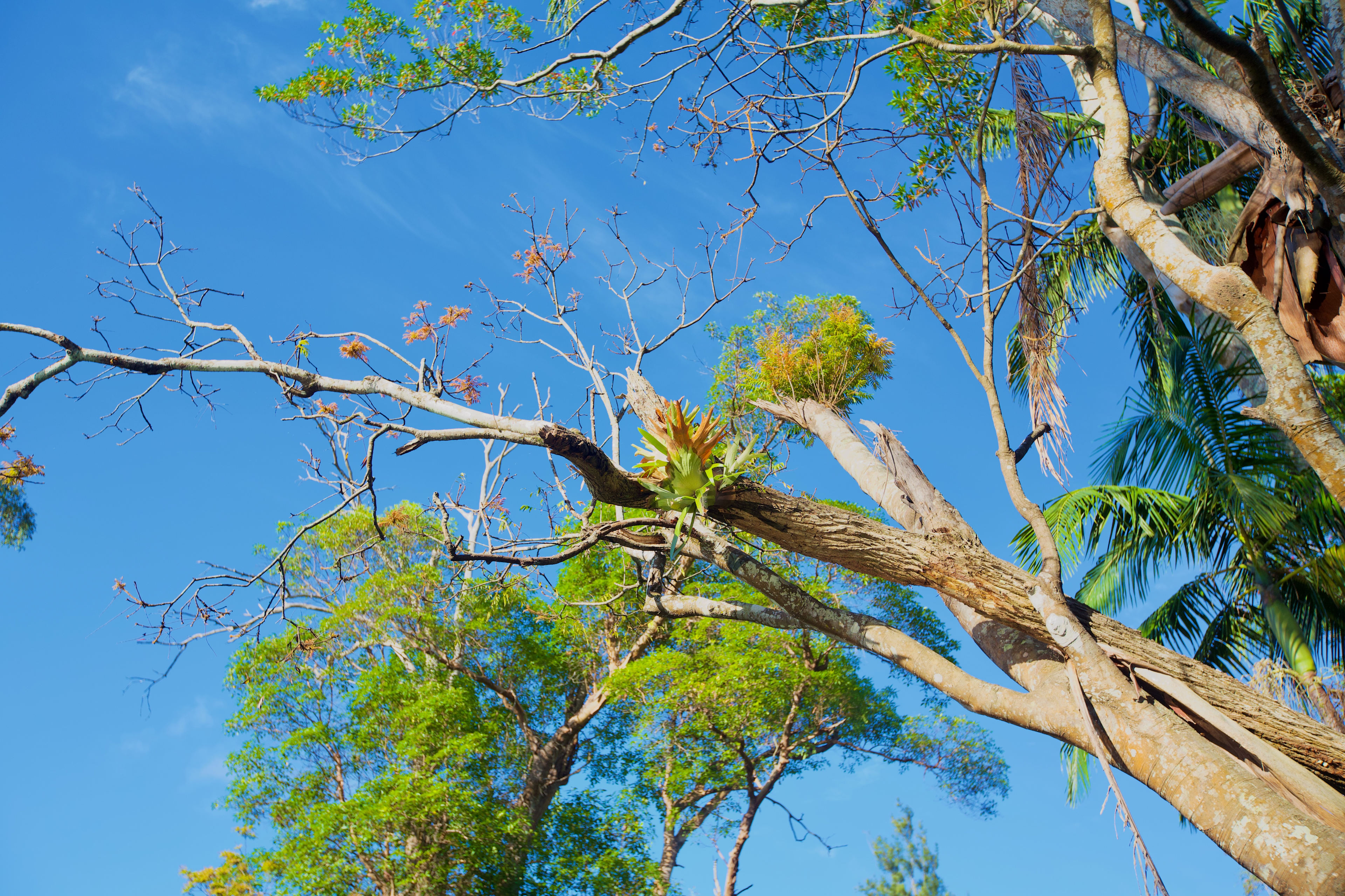 Wongawallan Creek Estate