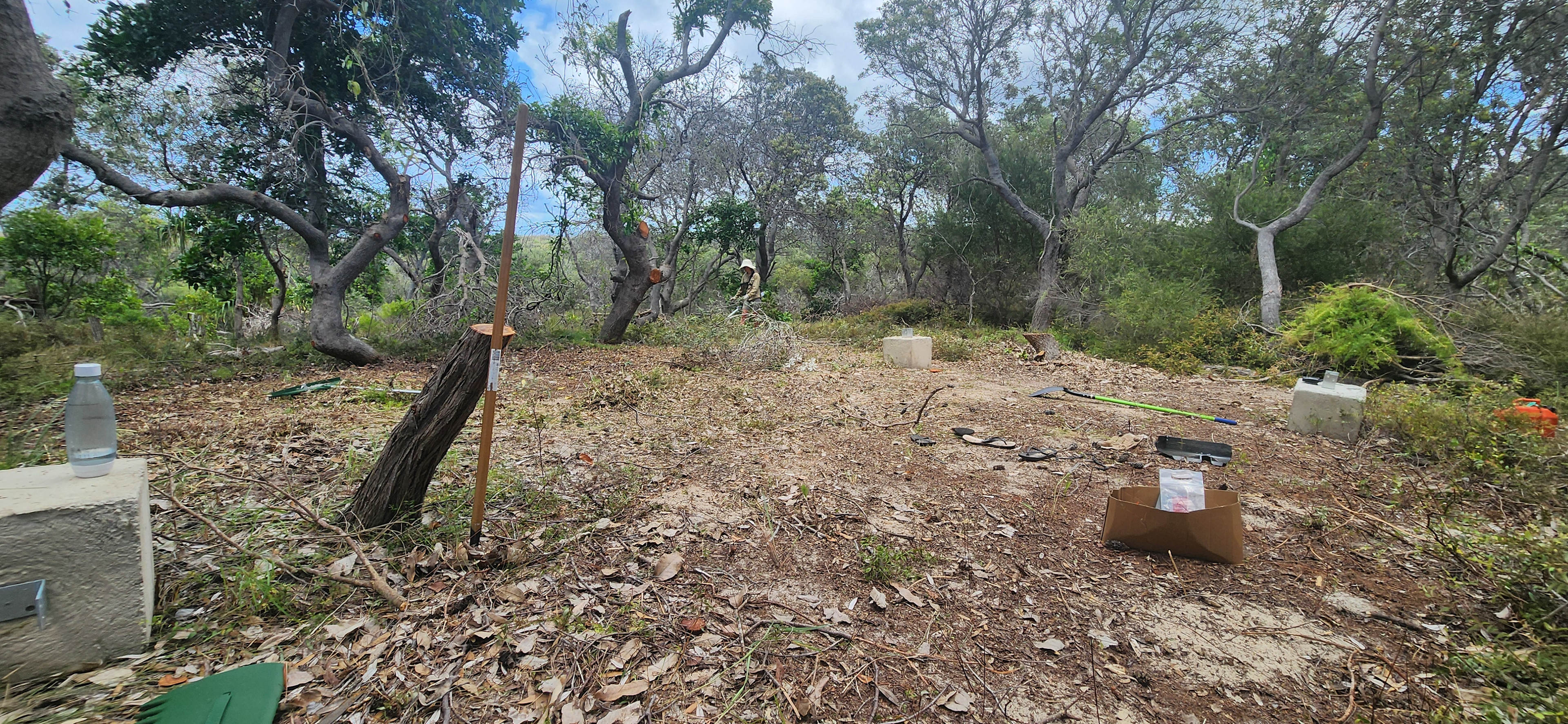 Banngu Ocean View Camping