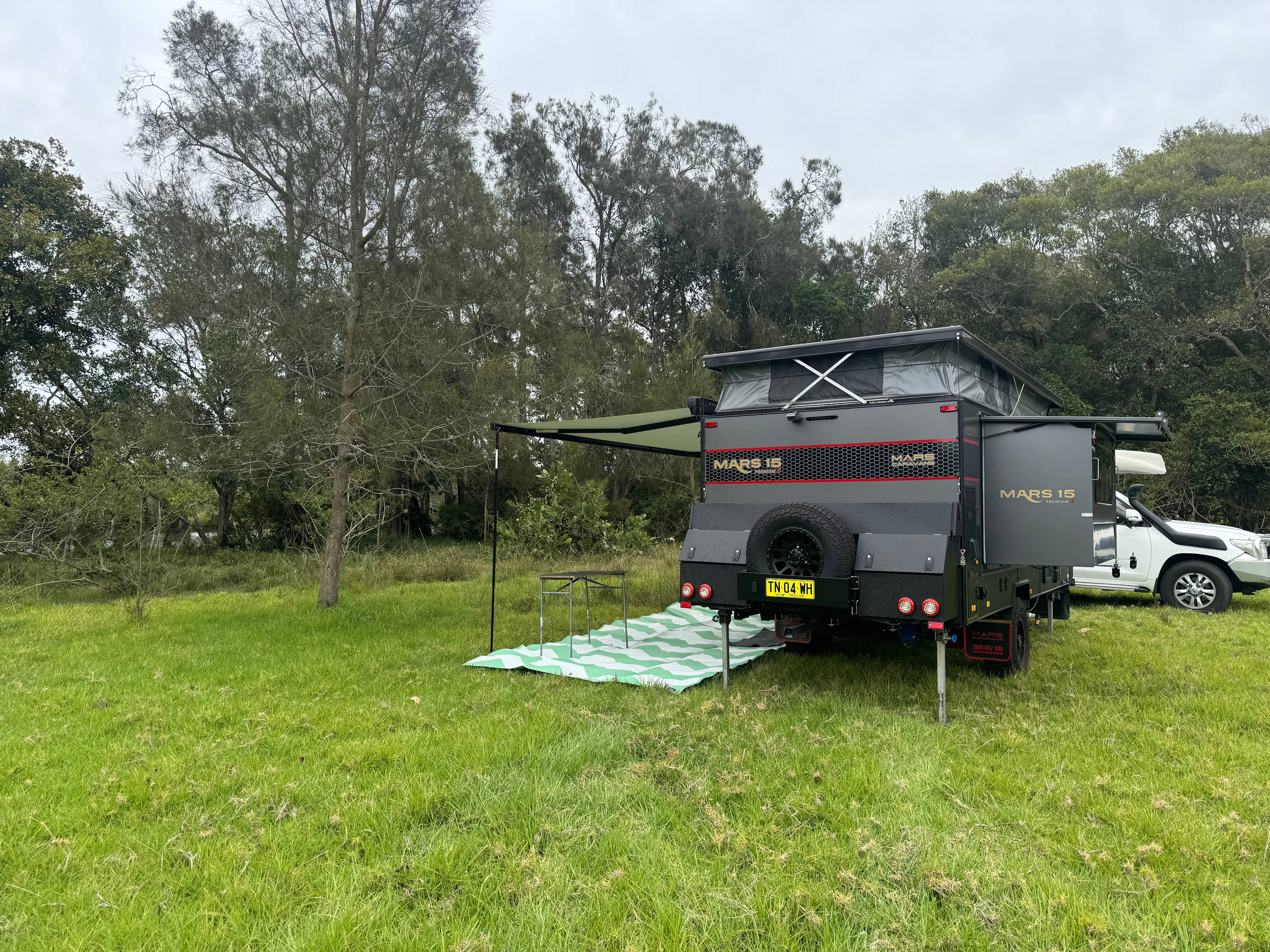 Youngster’s Paddock