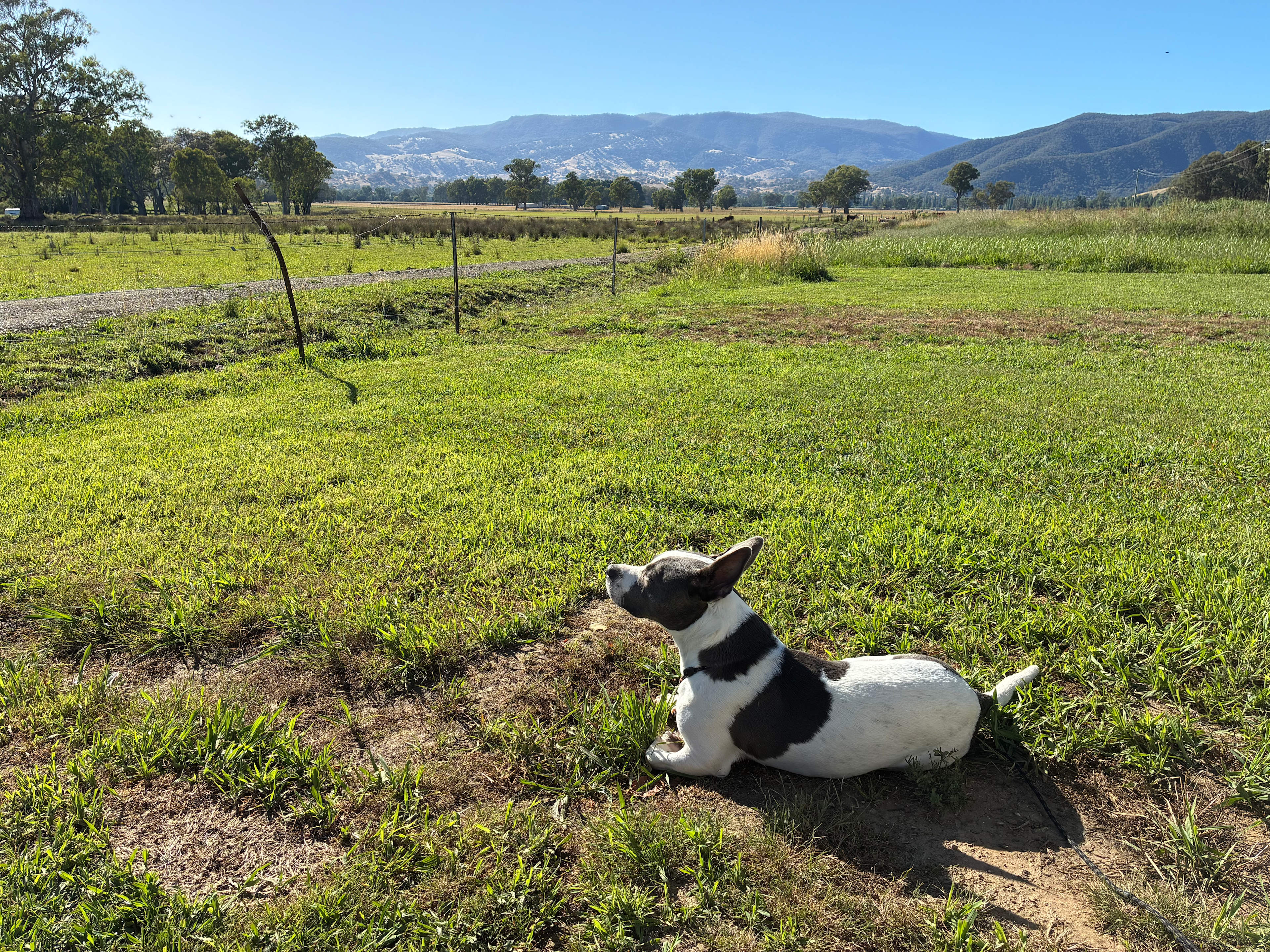 Tumut Valley Holiday Park