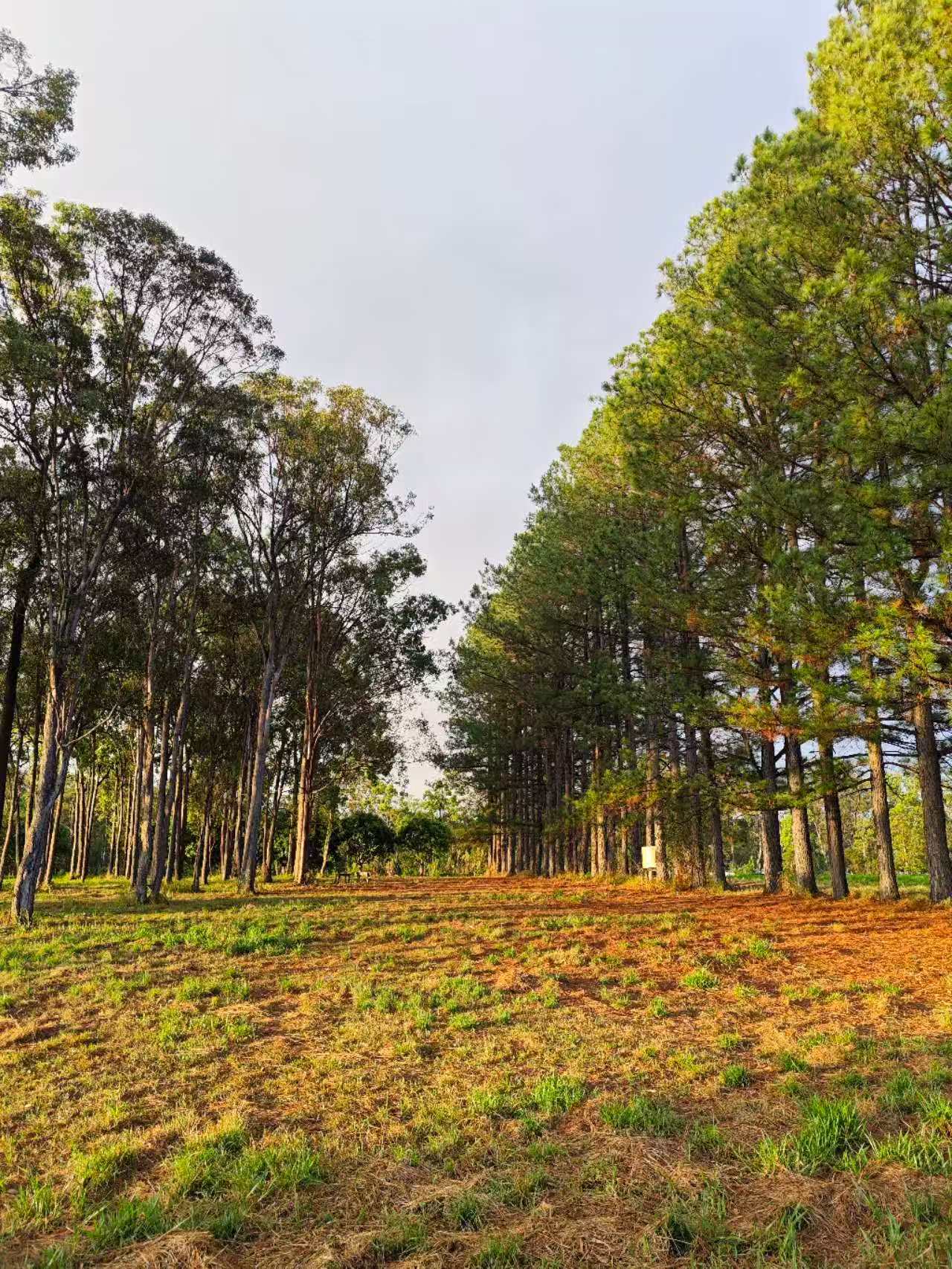 Anderleigh Winery by Fu's Farm