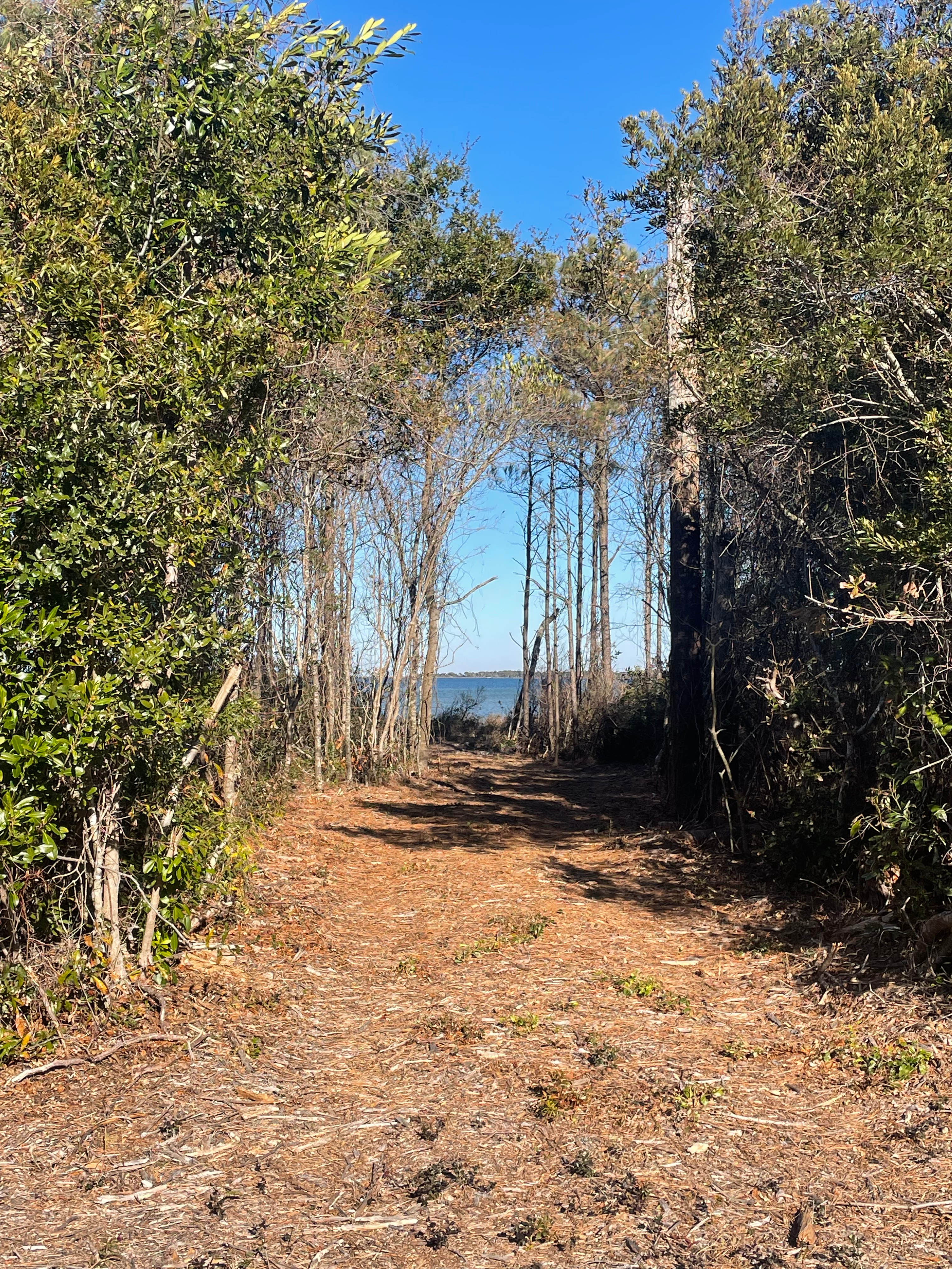 TRAIL TO SITE