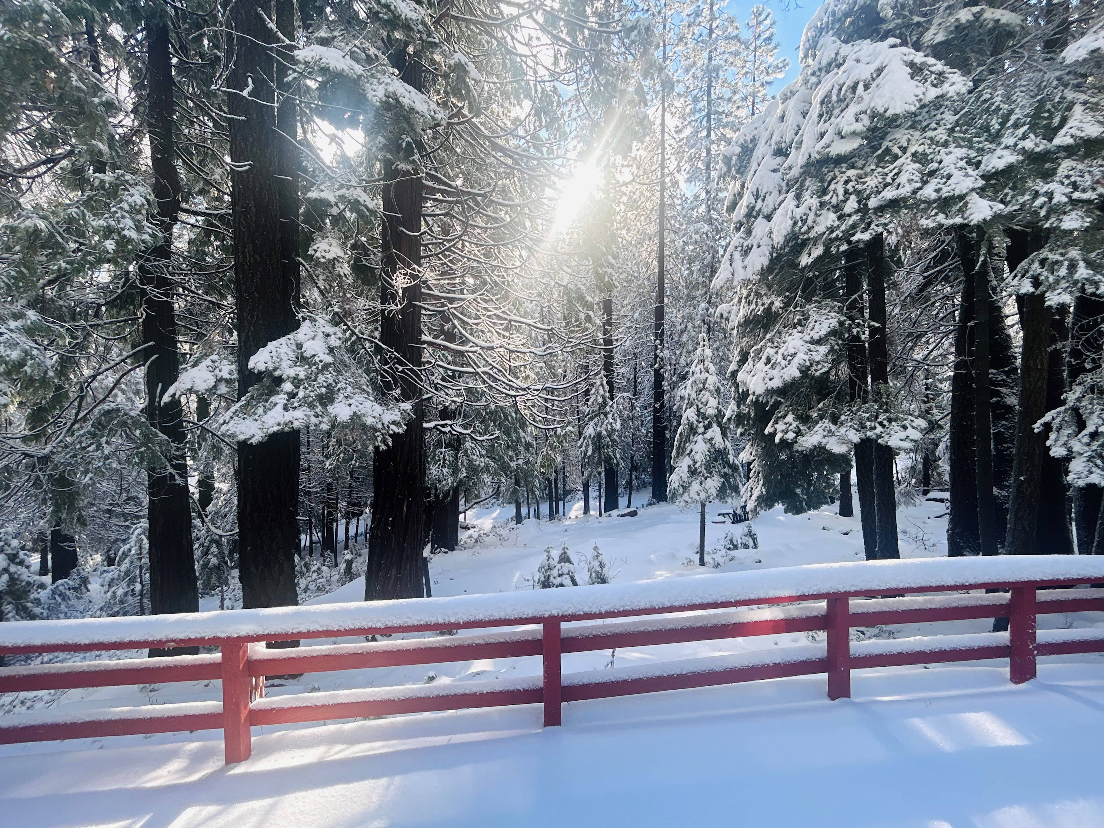 Scottlan's LostDeer Lodge