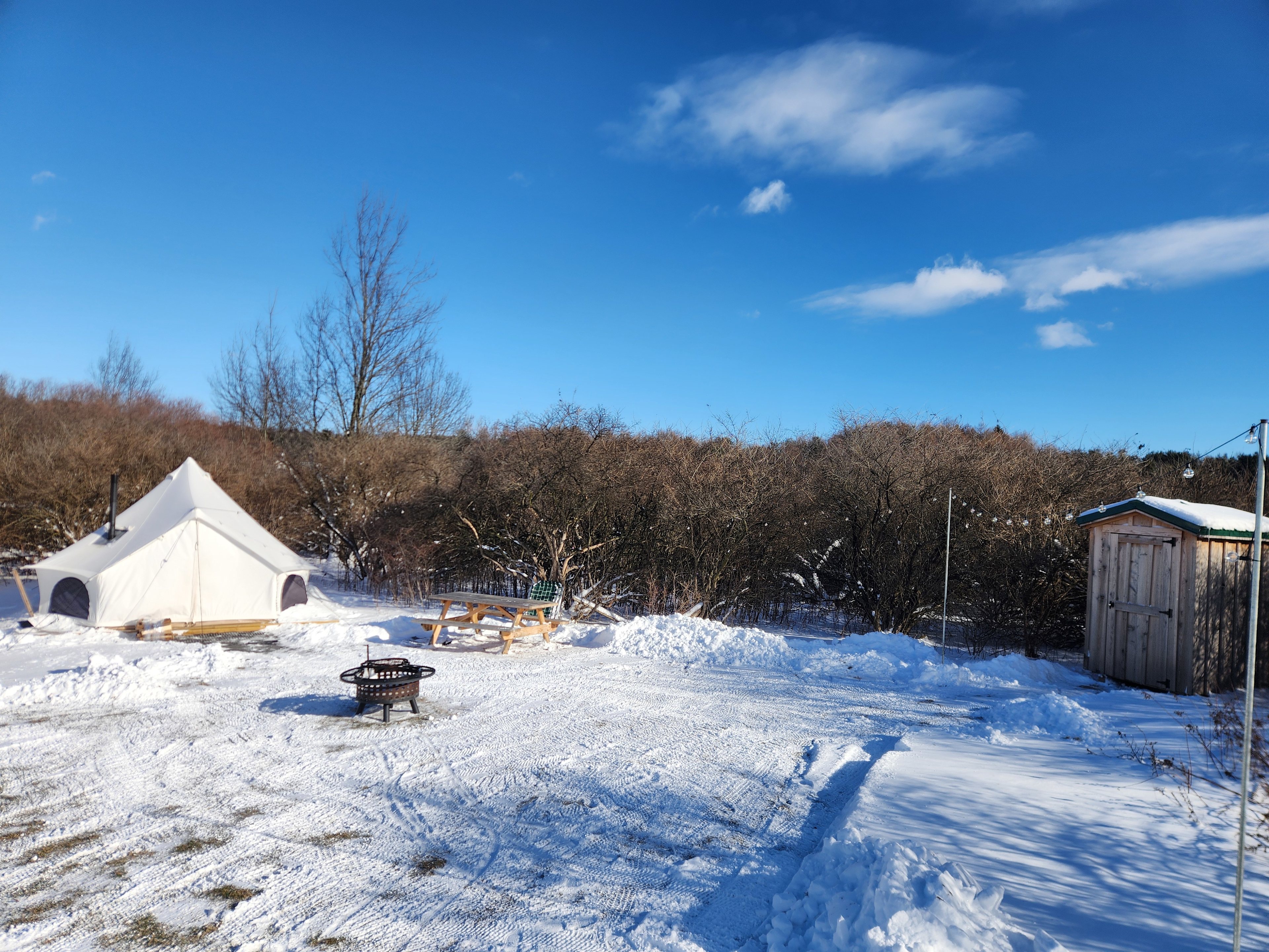 Overgrown Ridge Camp By Letchworth