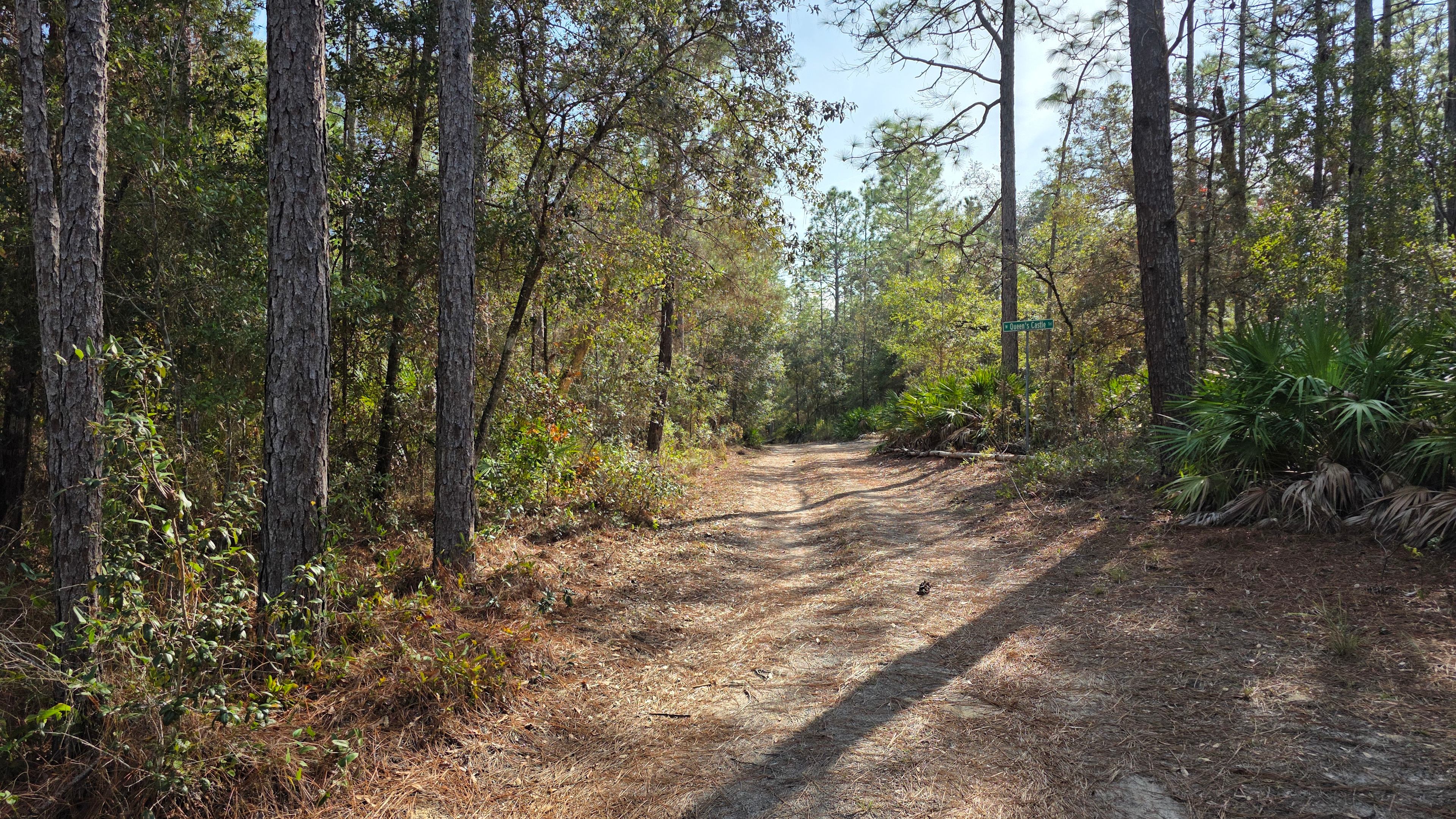 Driveway entrance onto the property. Please note that it is dirt roads to get to the property. 