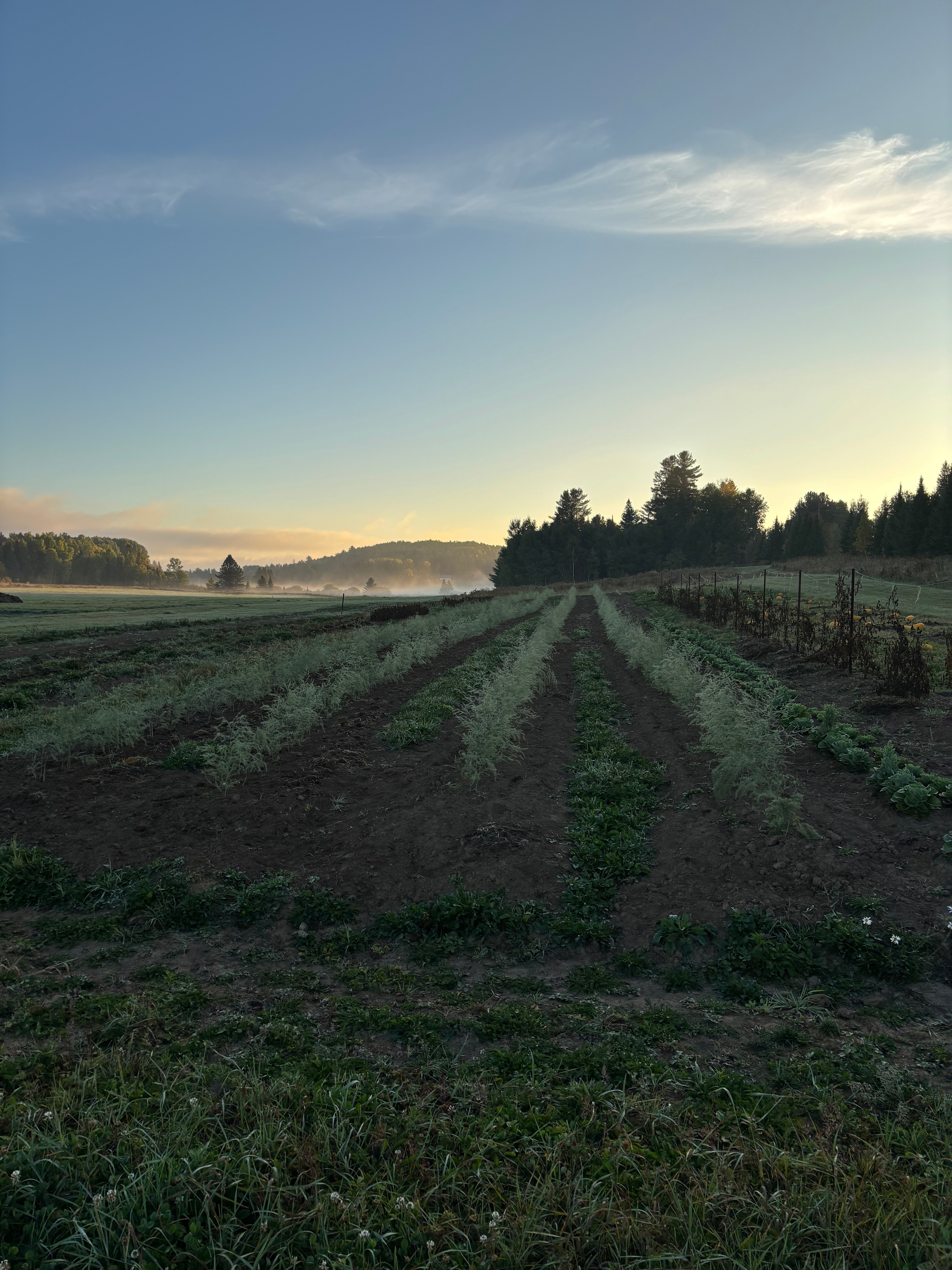 Peddler's Passage Farm & Stay