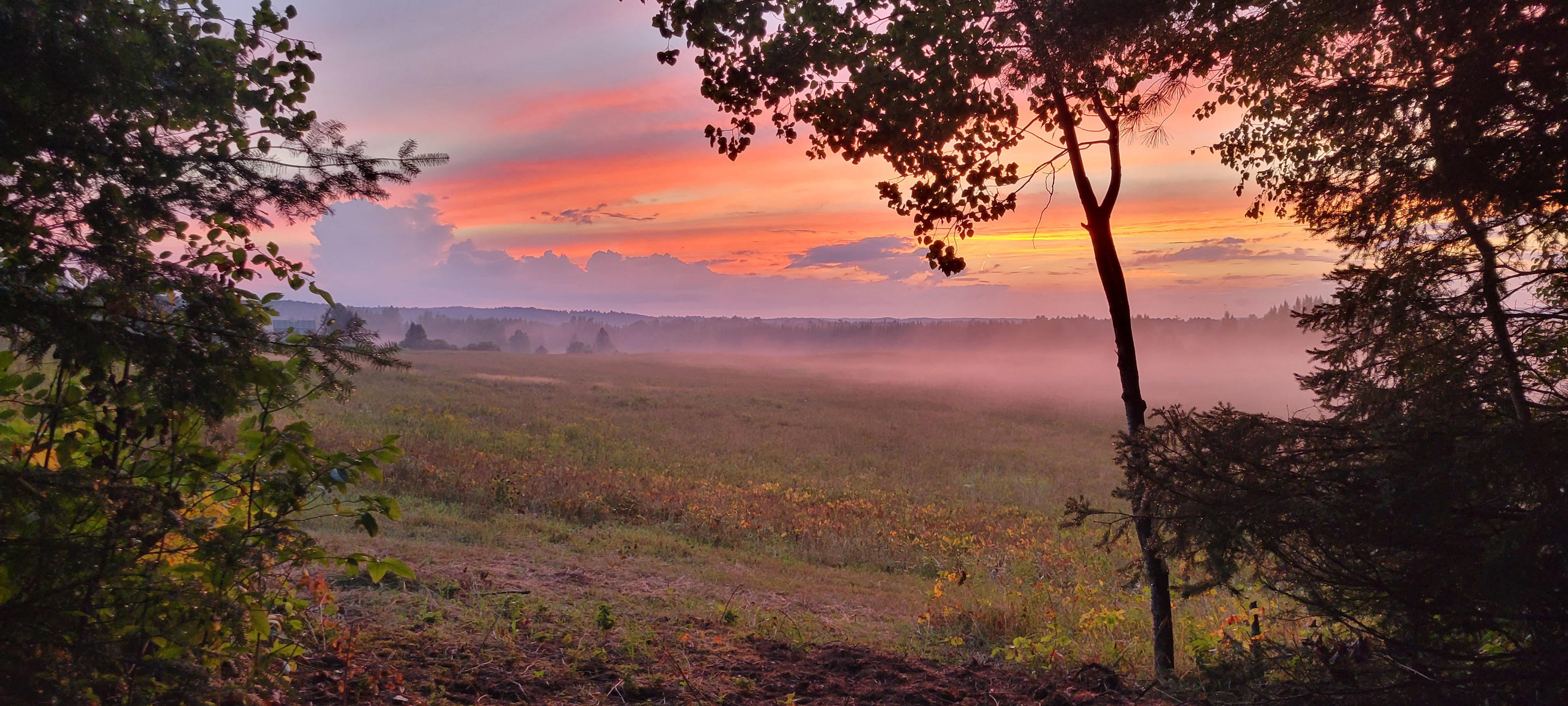 Peddler's Passage Farm & Stay