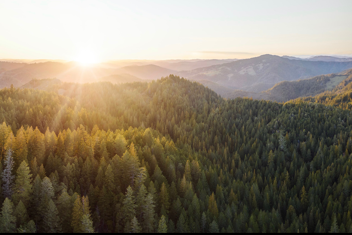 Leonard Lake Reserve