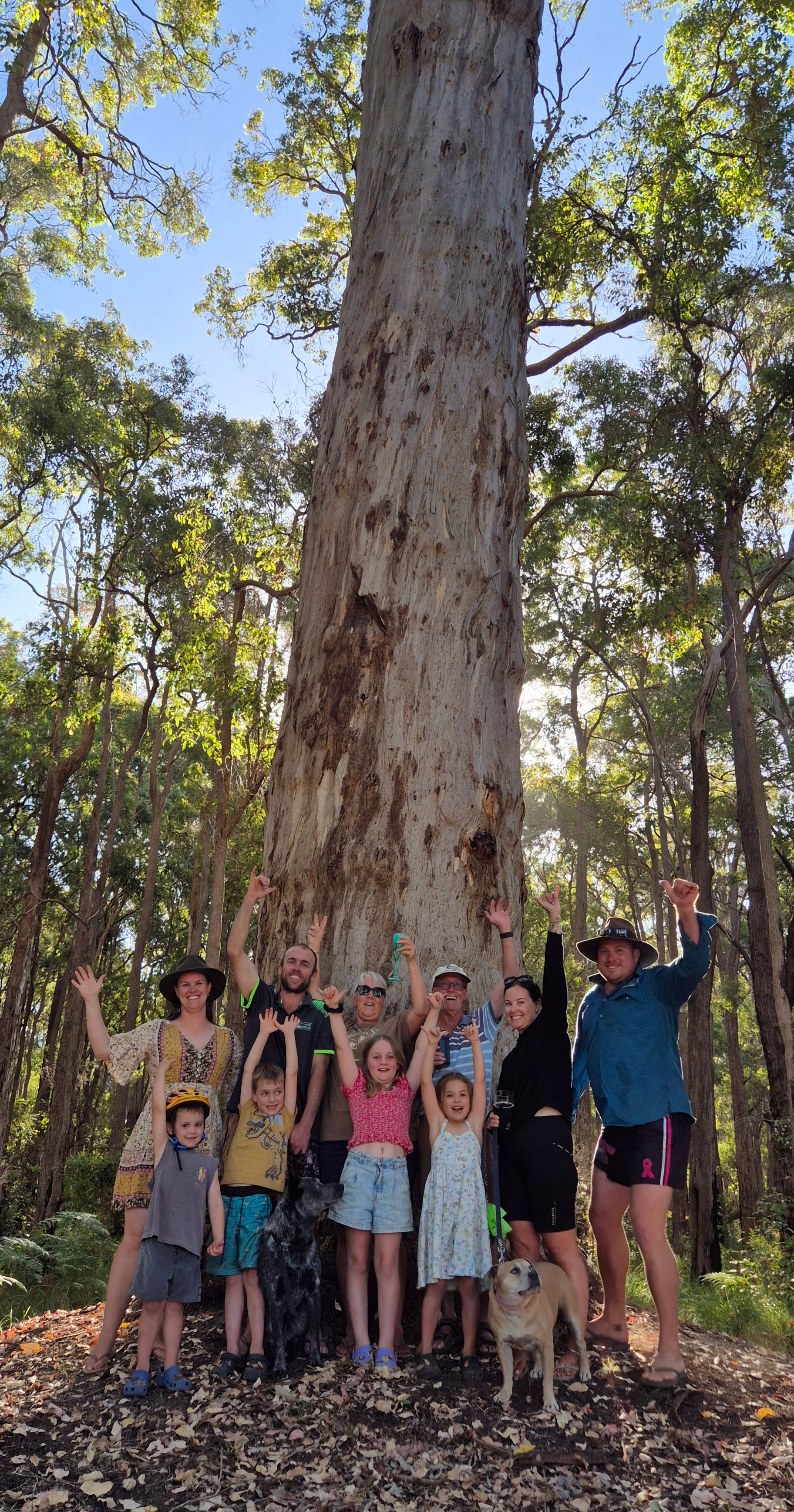 Highway Hideaway - Manjimup