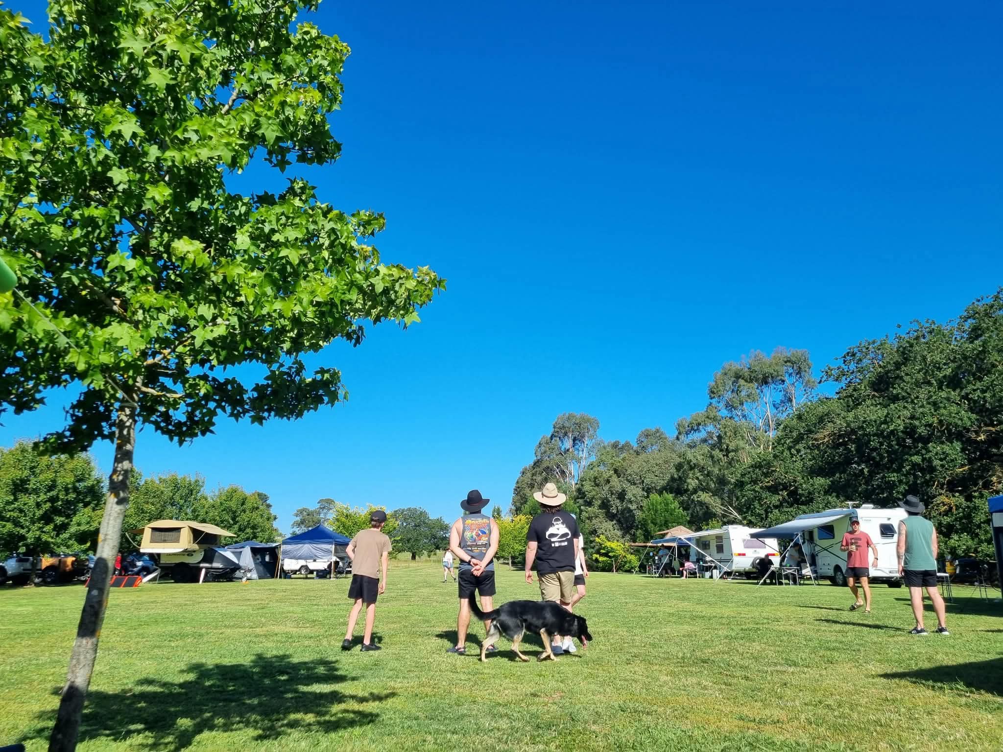 RiverOak Camping Heyfield - Gippsland Victoria