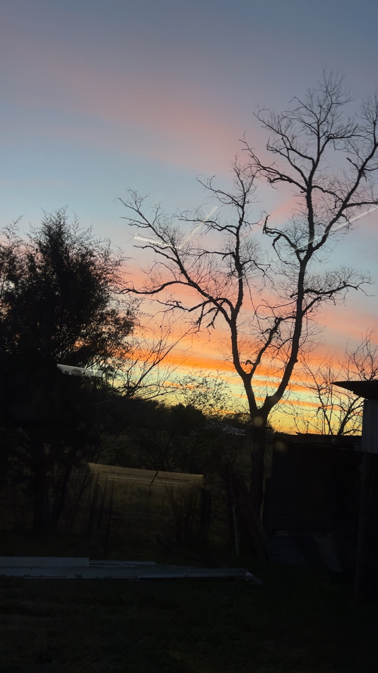 Renee's Galaxy RV Campground