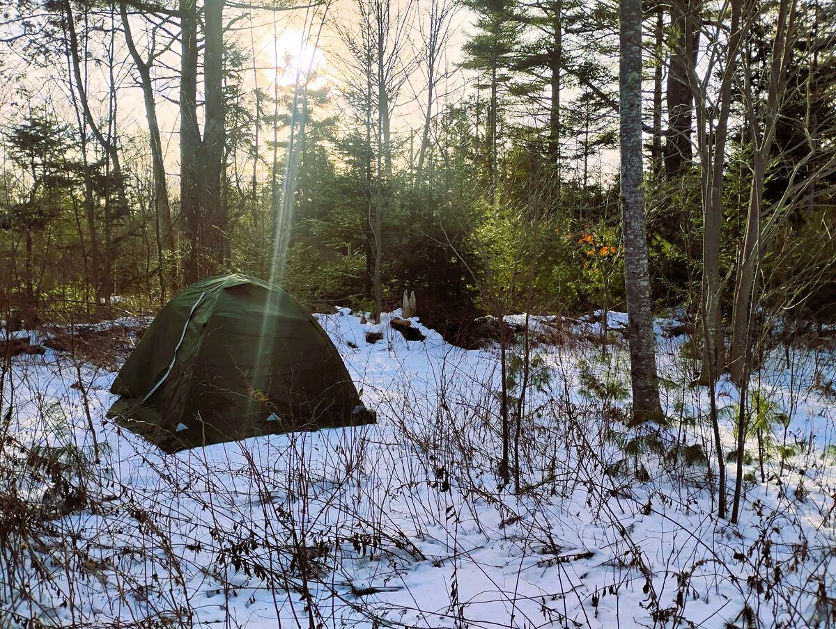 Chickadee Hollow: Eco Camping