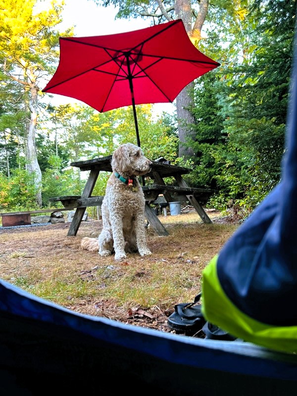 Chickadee Hollow: Eco Camping