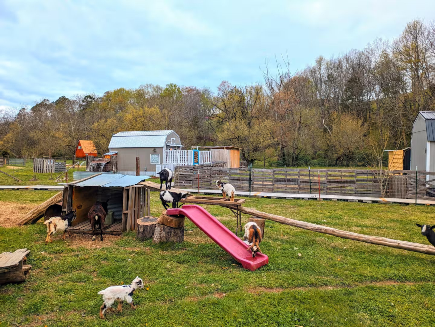 English Creek Hideaway Glamping