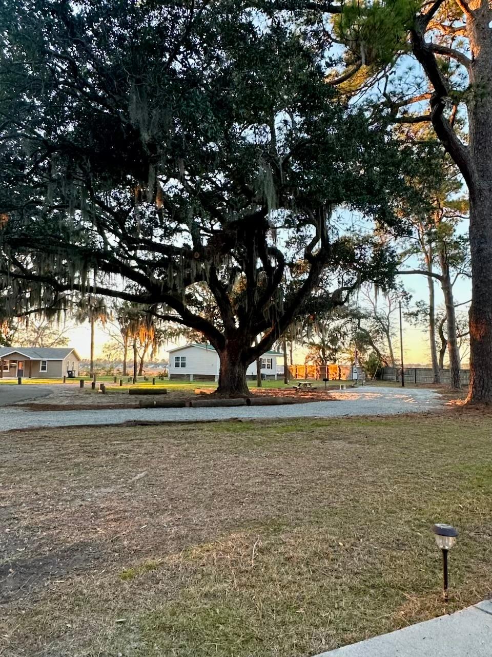 Private Campsite In Beaufort, SC!