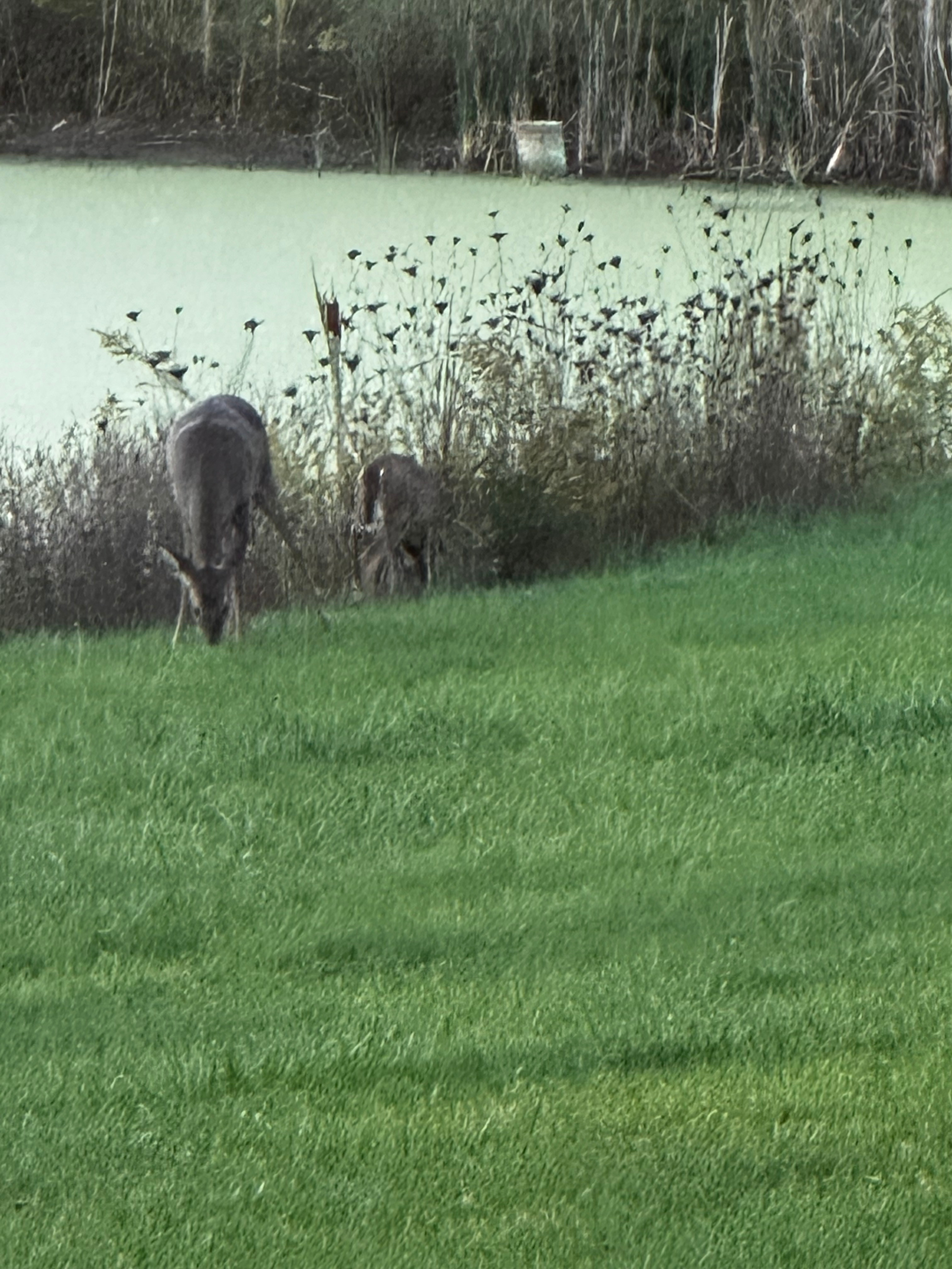 Secluded Indiana Paradise