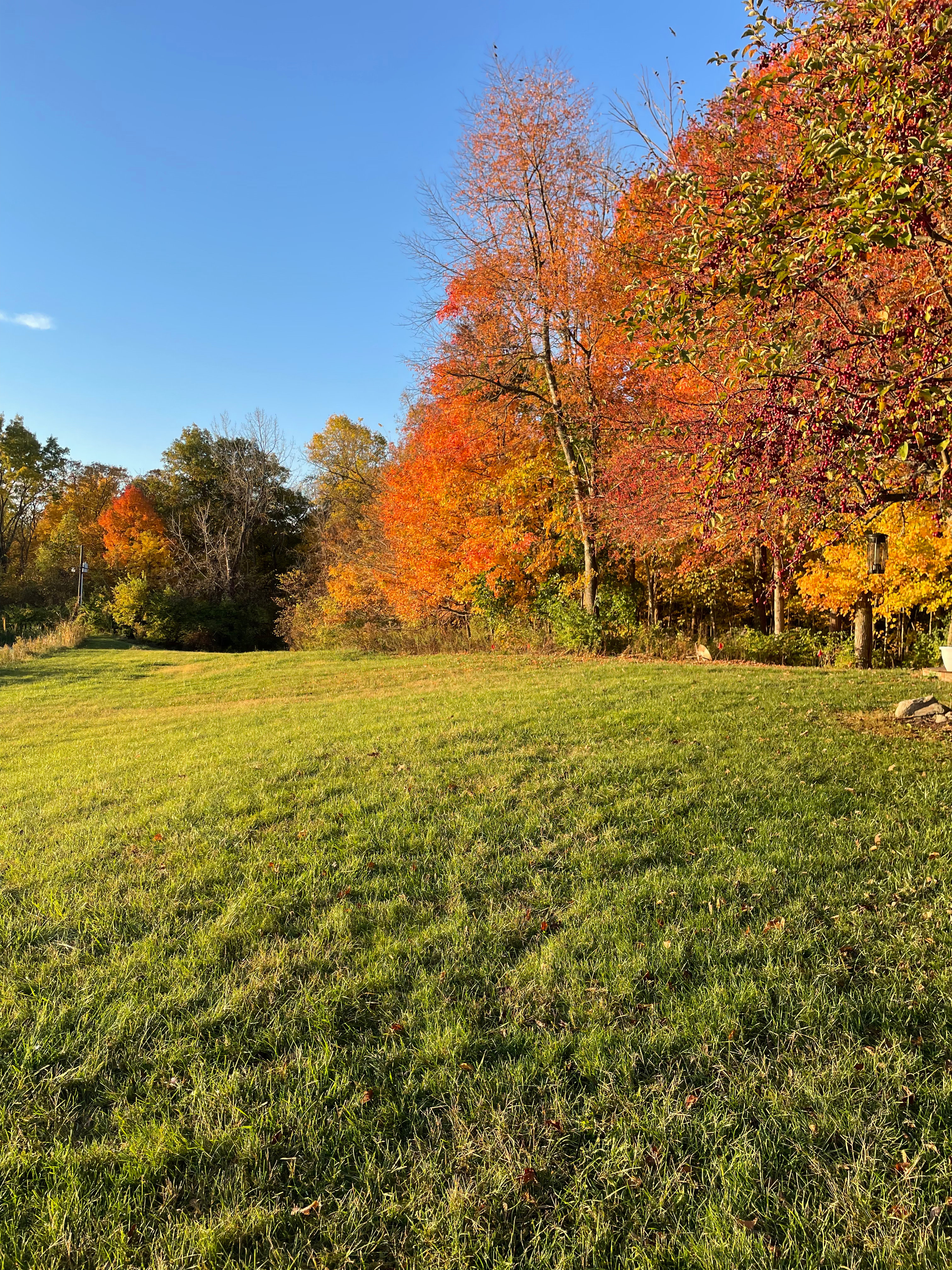 Secluded Indiana Paradise
