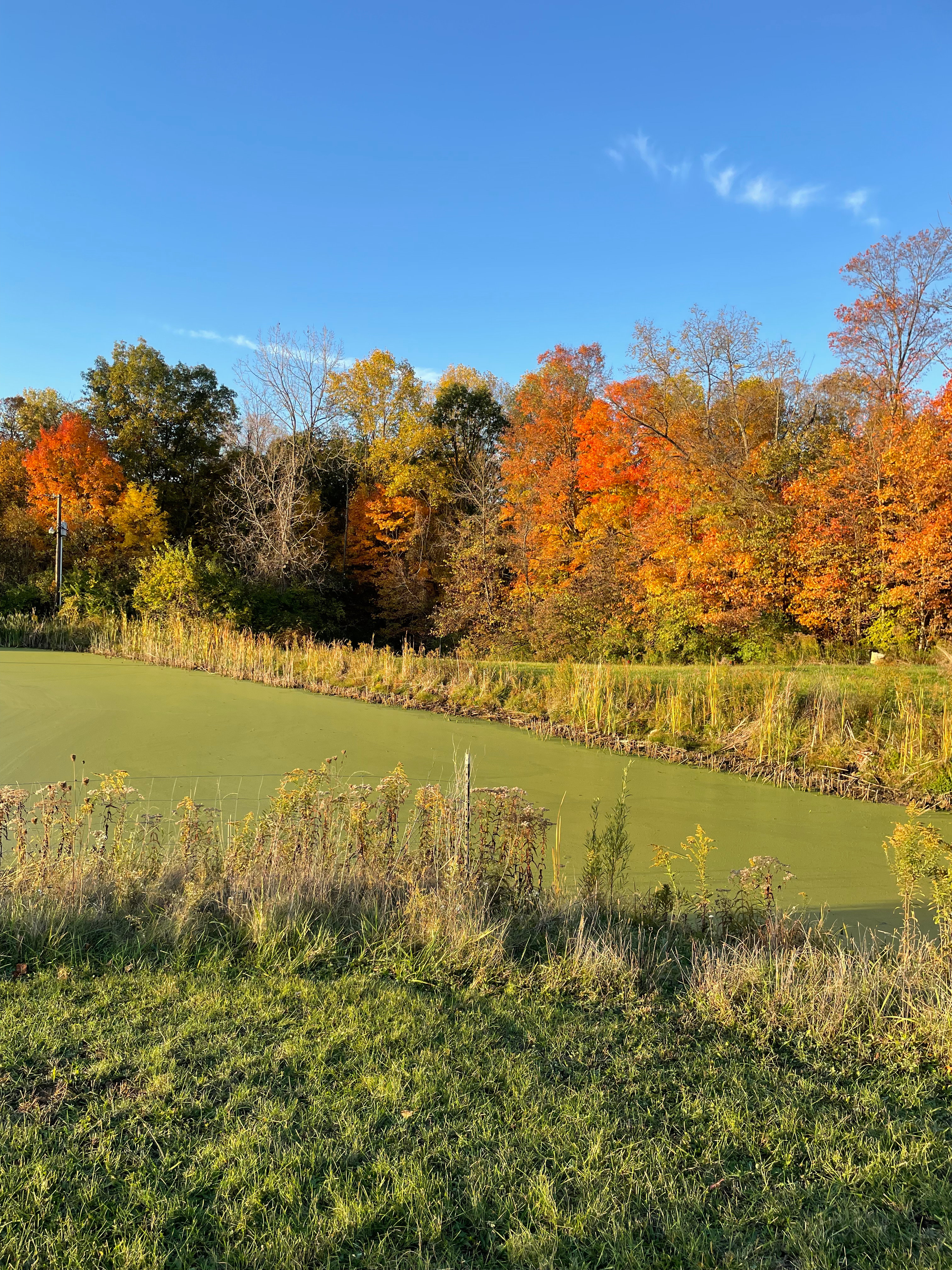 Secluded Indiana Paradise