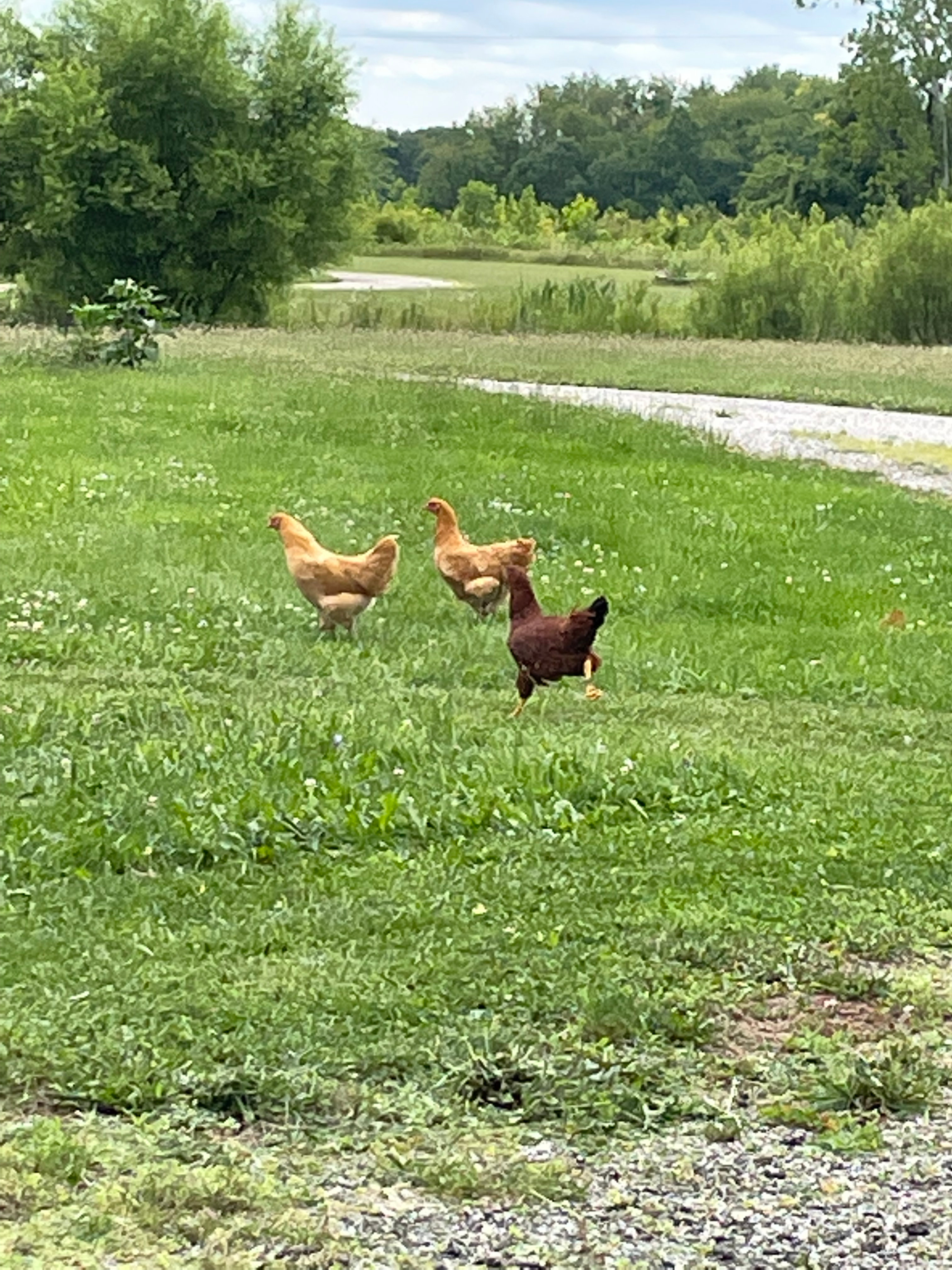 Secluded Indiana Paradise