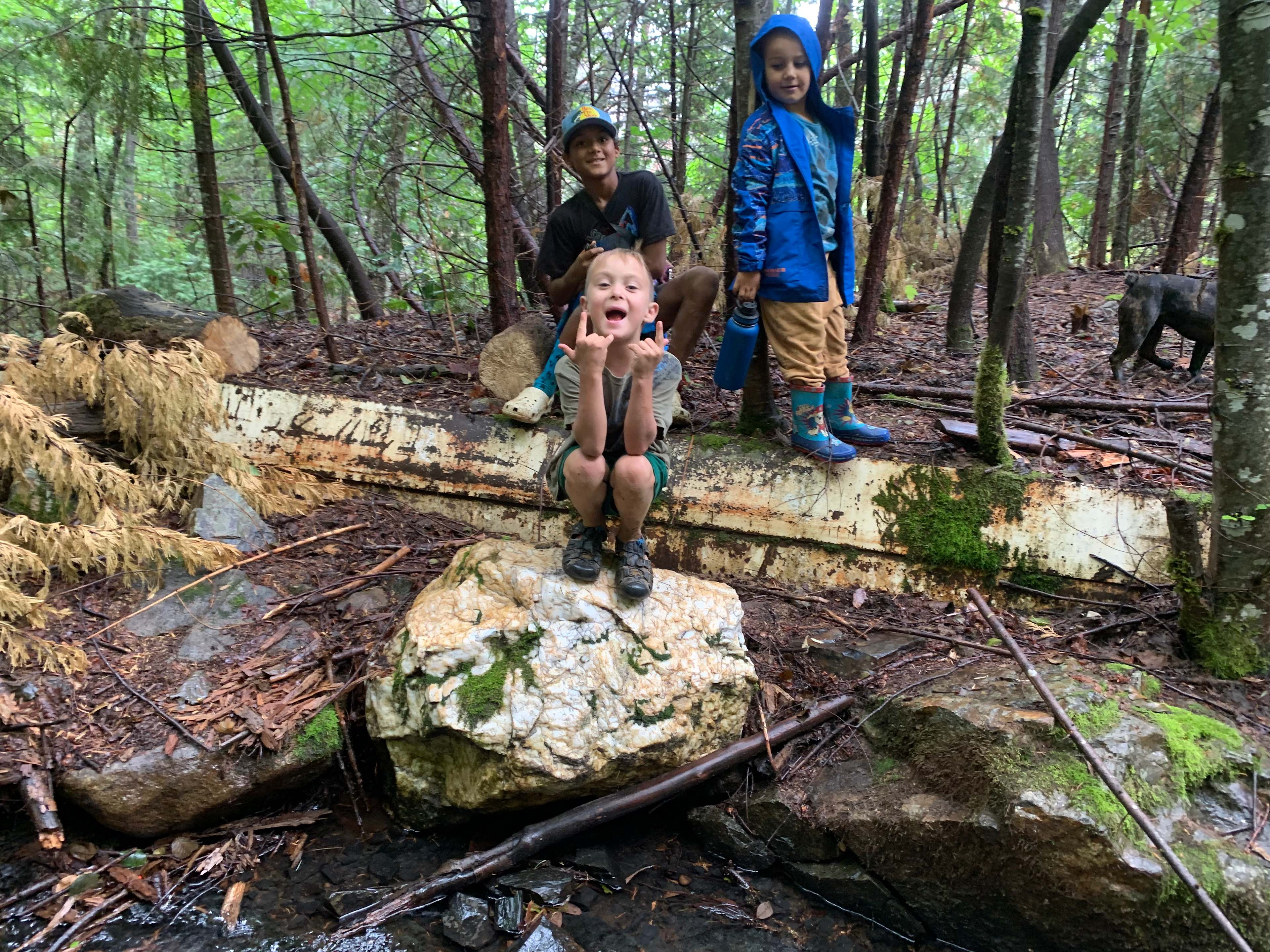 Gold Country Camping