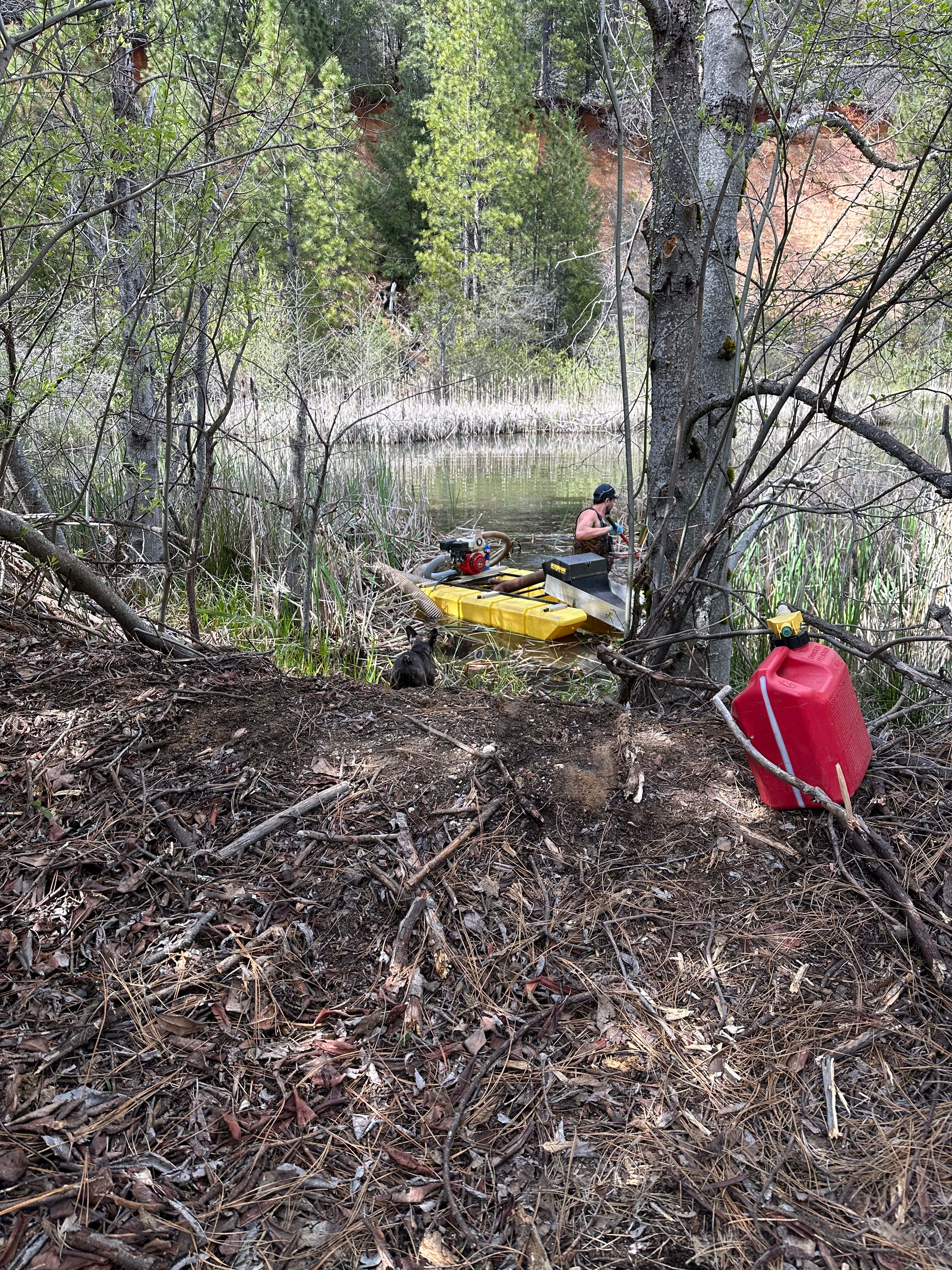Gold Country Camping