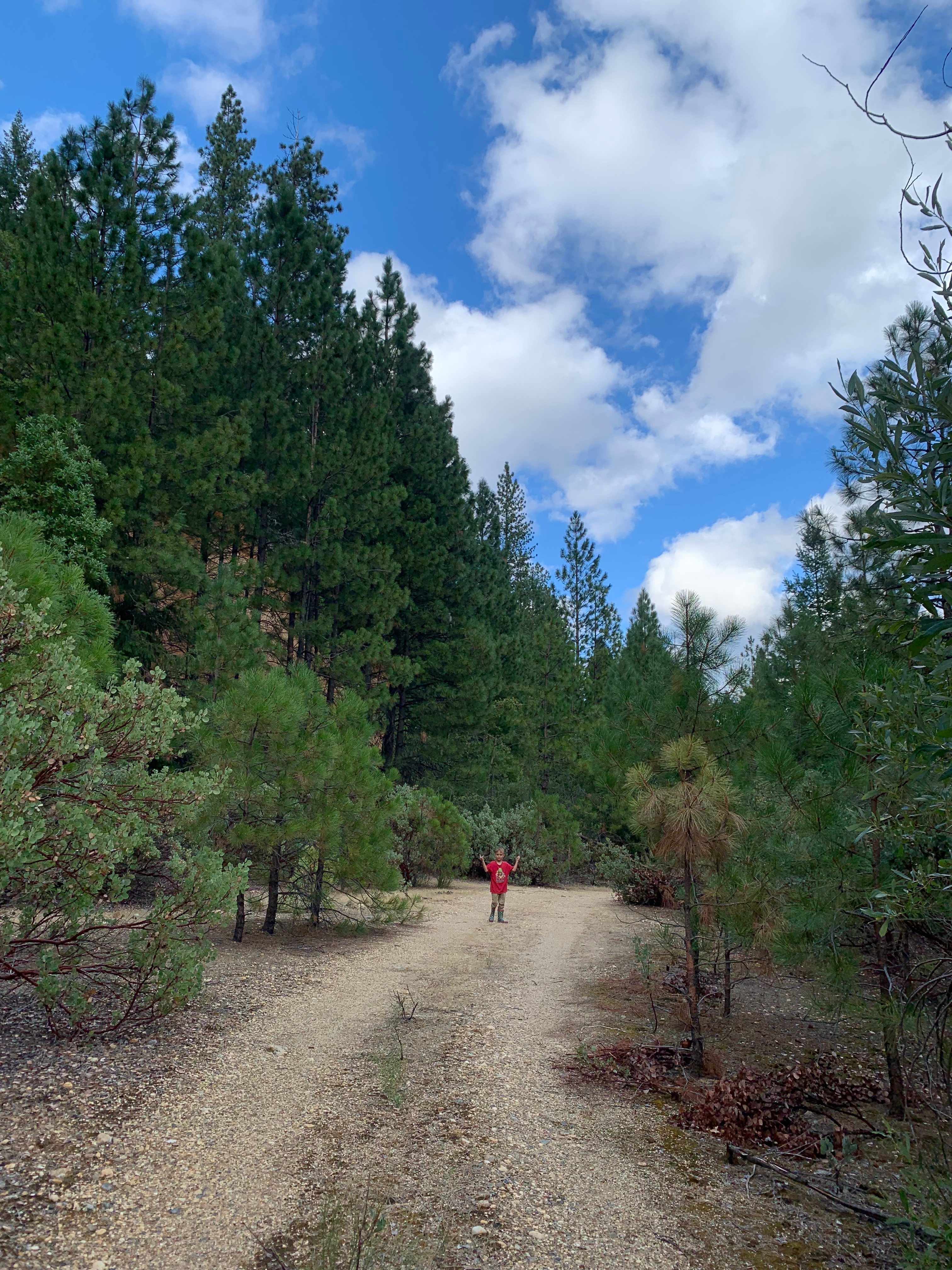 Gold Country Camping