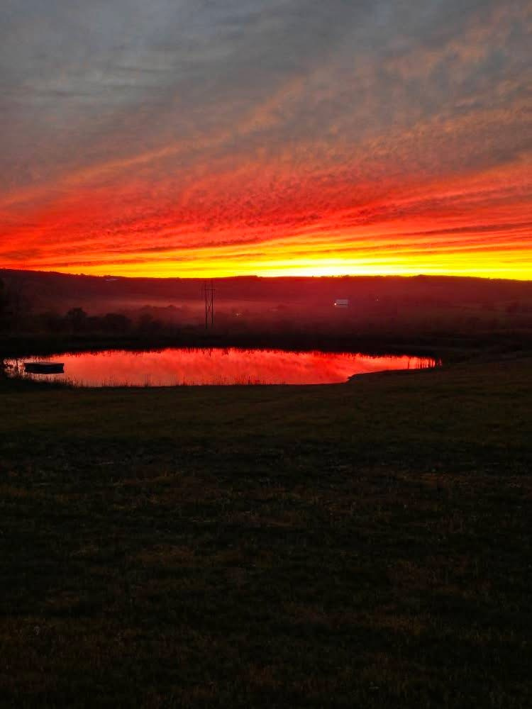 Cabin    ( Old Family  Log Cabin )